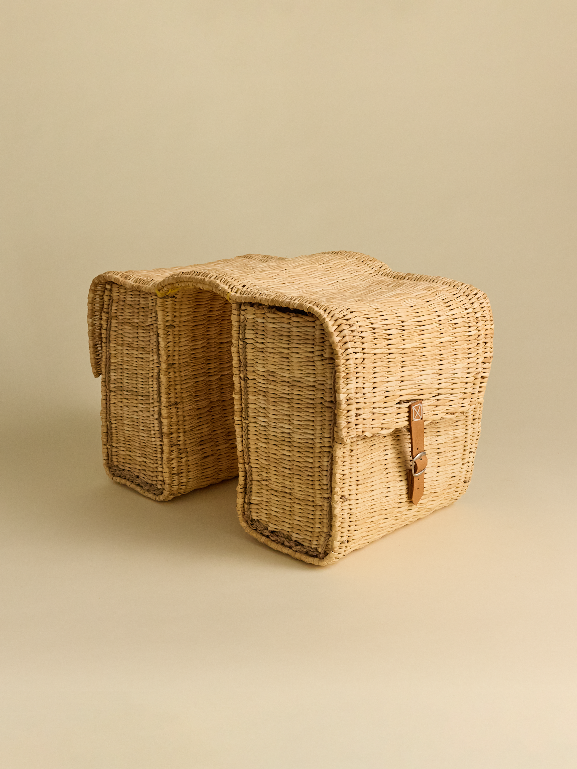 Double Panier Bicycle Basket view from the side on neutral background