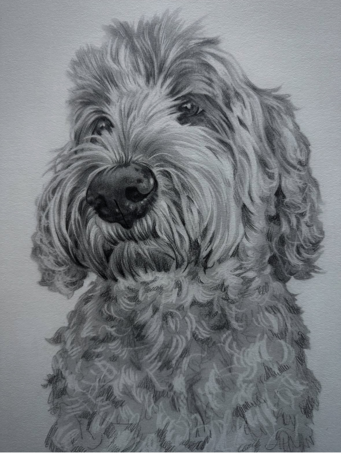Pet Portrait Class