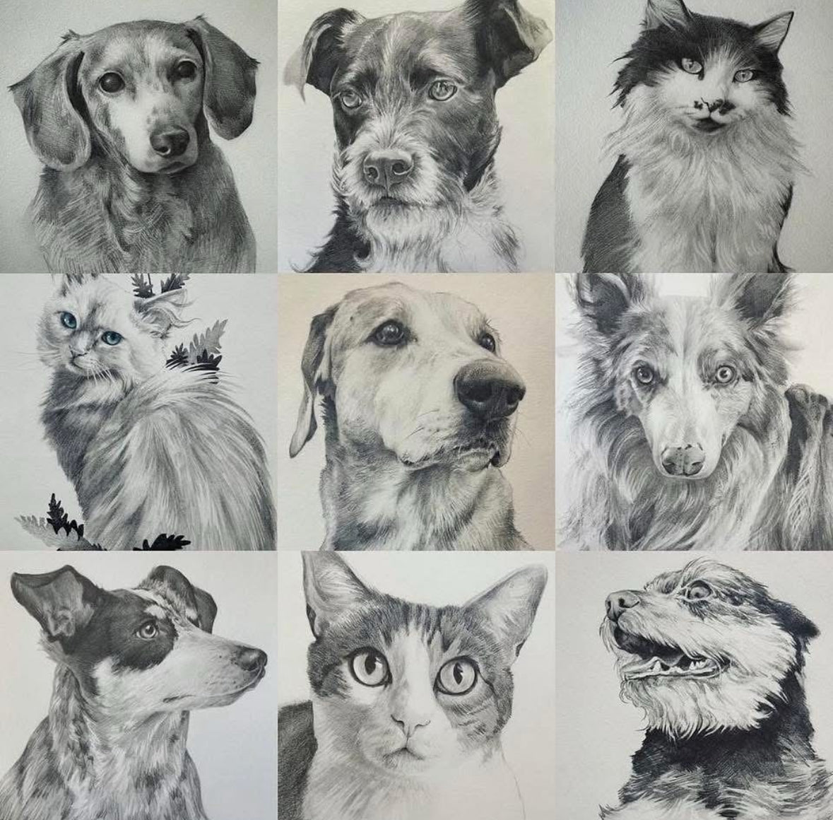 Pet Portrait Class