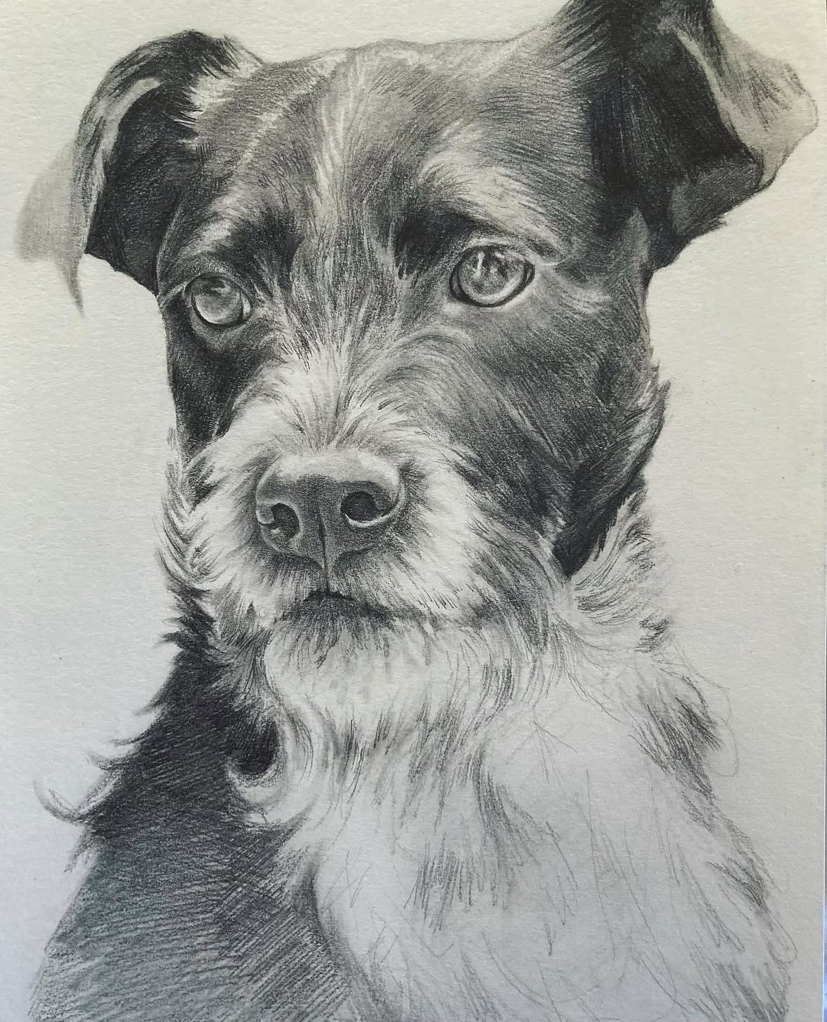 Pet Portrait Class