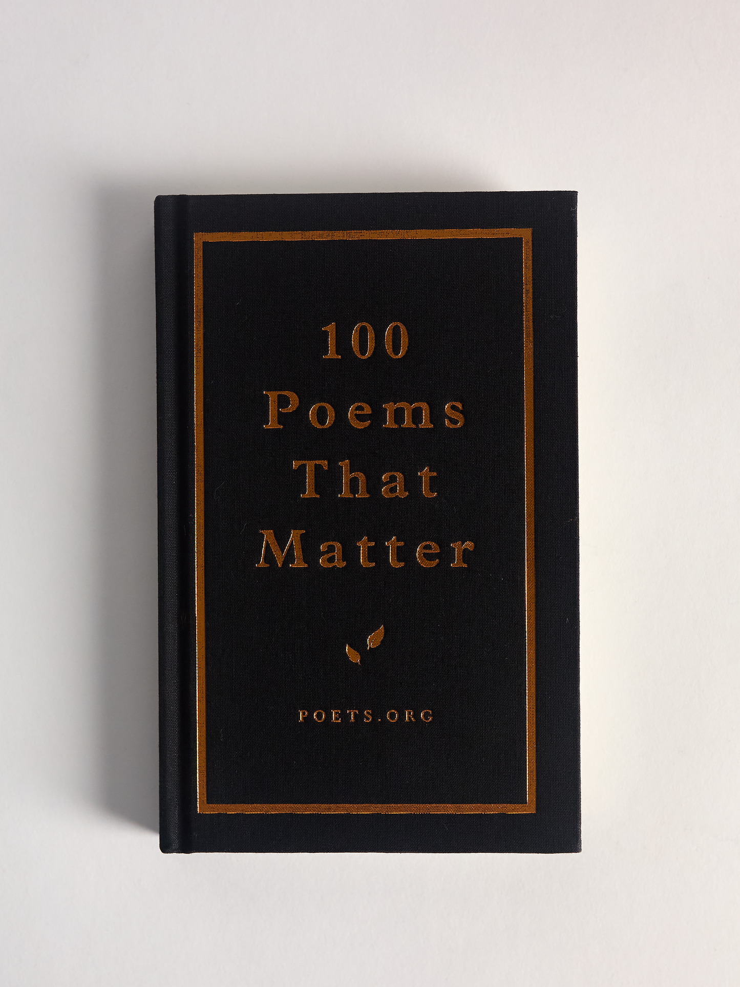 Book titled '100 Poems That Matter' with gold text on a black cover against a light gray background