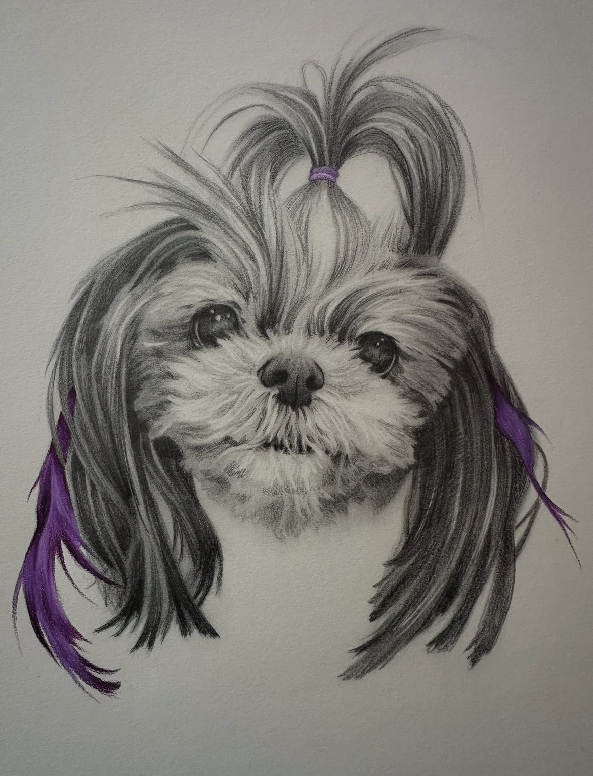 Pet Portrait Class