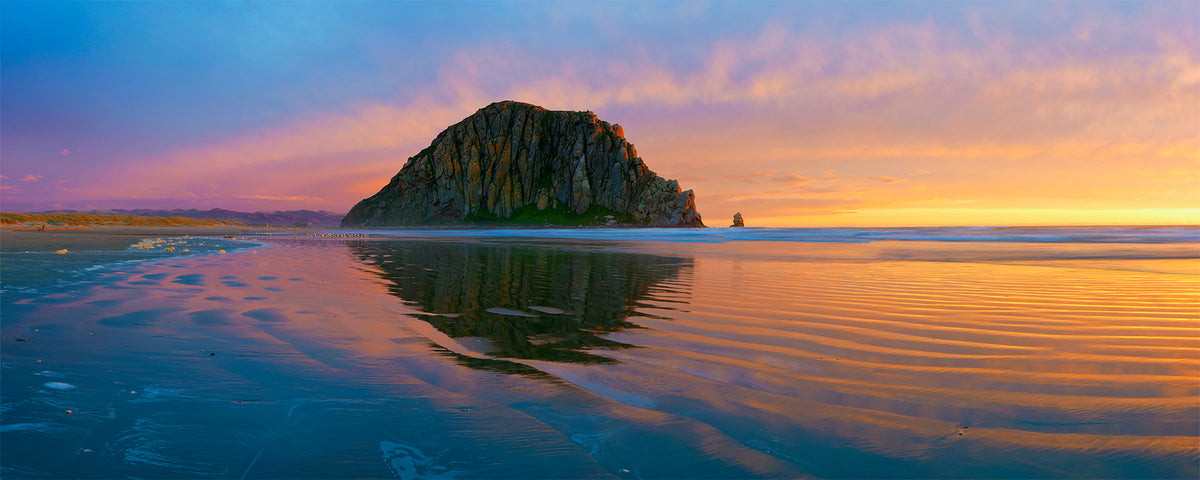 California's Coast Book - Sakura Clamshell Edition