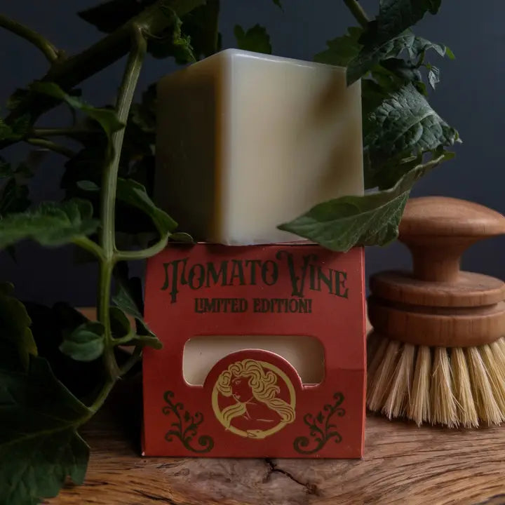 Tomato Vine Dish/Cleaning Soap