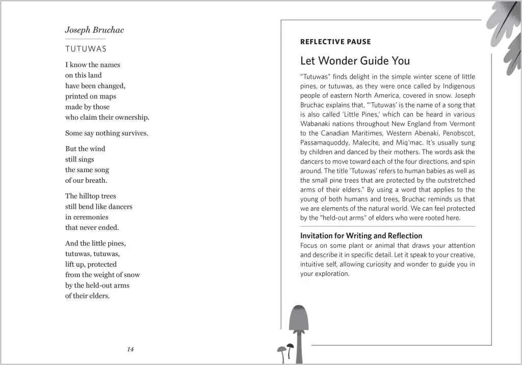 The Wonder of Small Things, Poems of Peace and Renewal