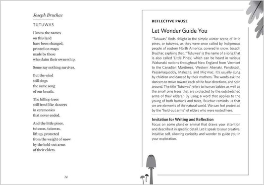 The Wonder of Small Things, Poems of Peace and Renewal