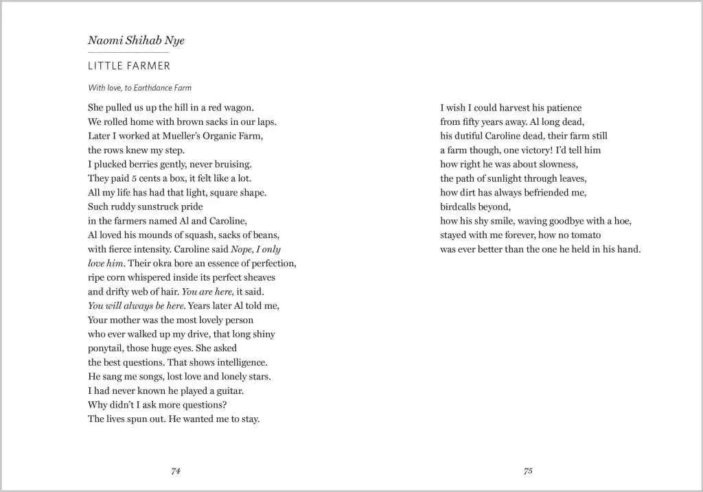 The Wonder of Small Things, Poems of Peace and Renewal