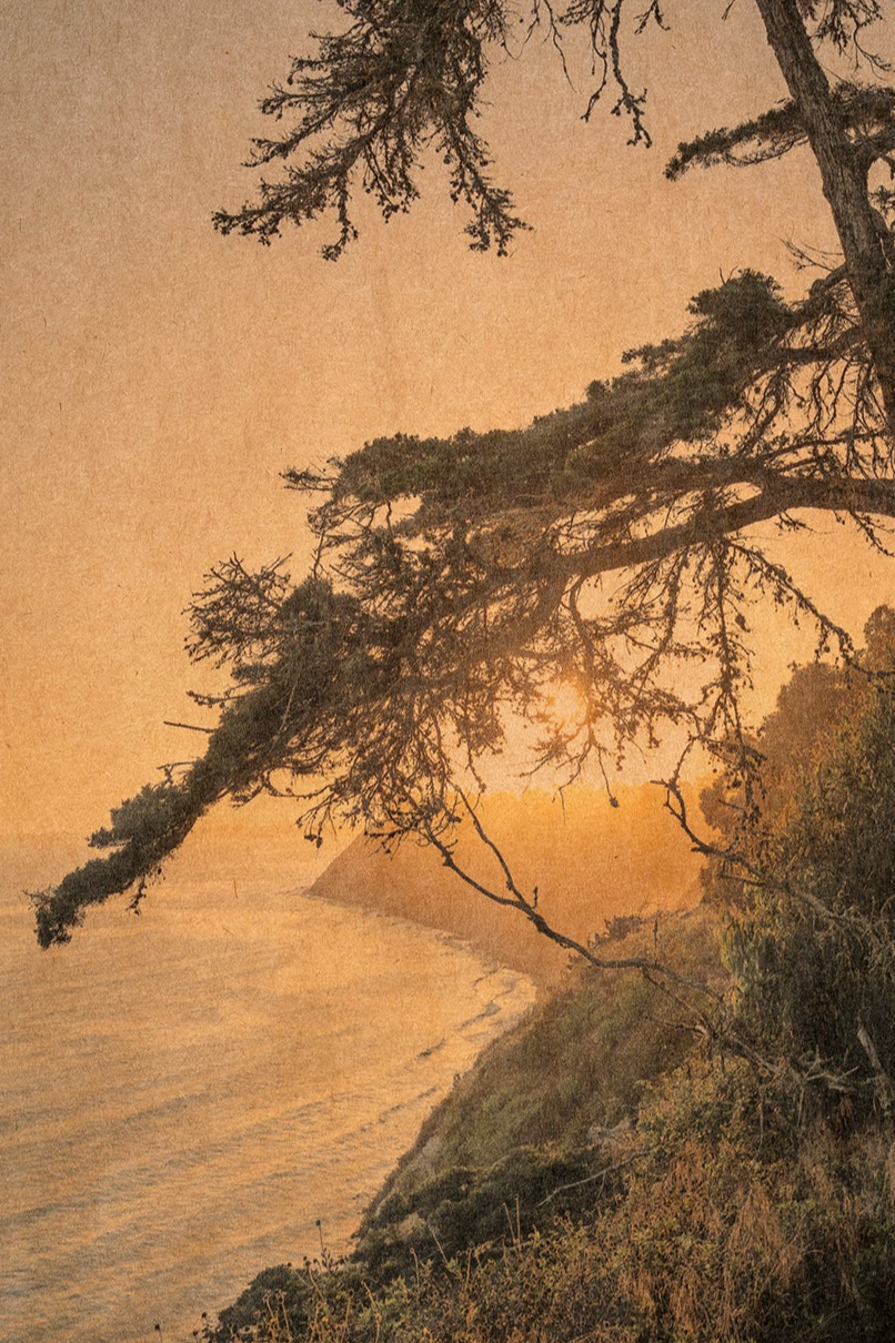 The golden bough close up