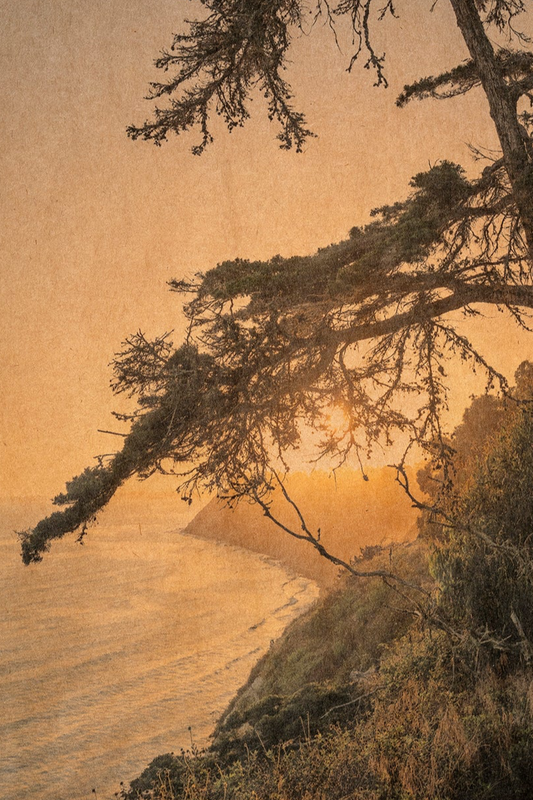 The Golden Bough