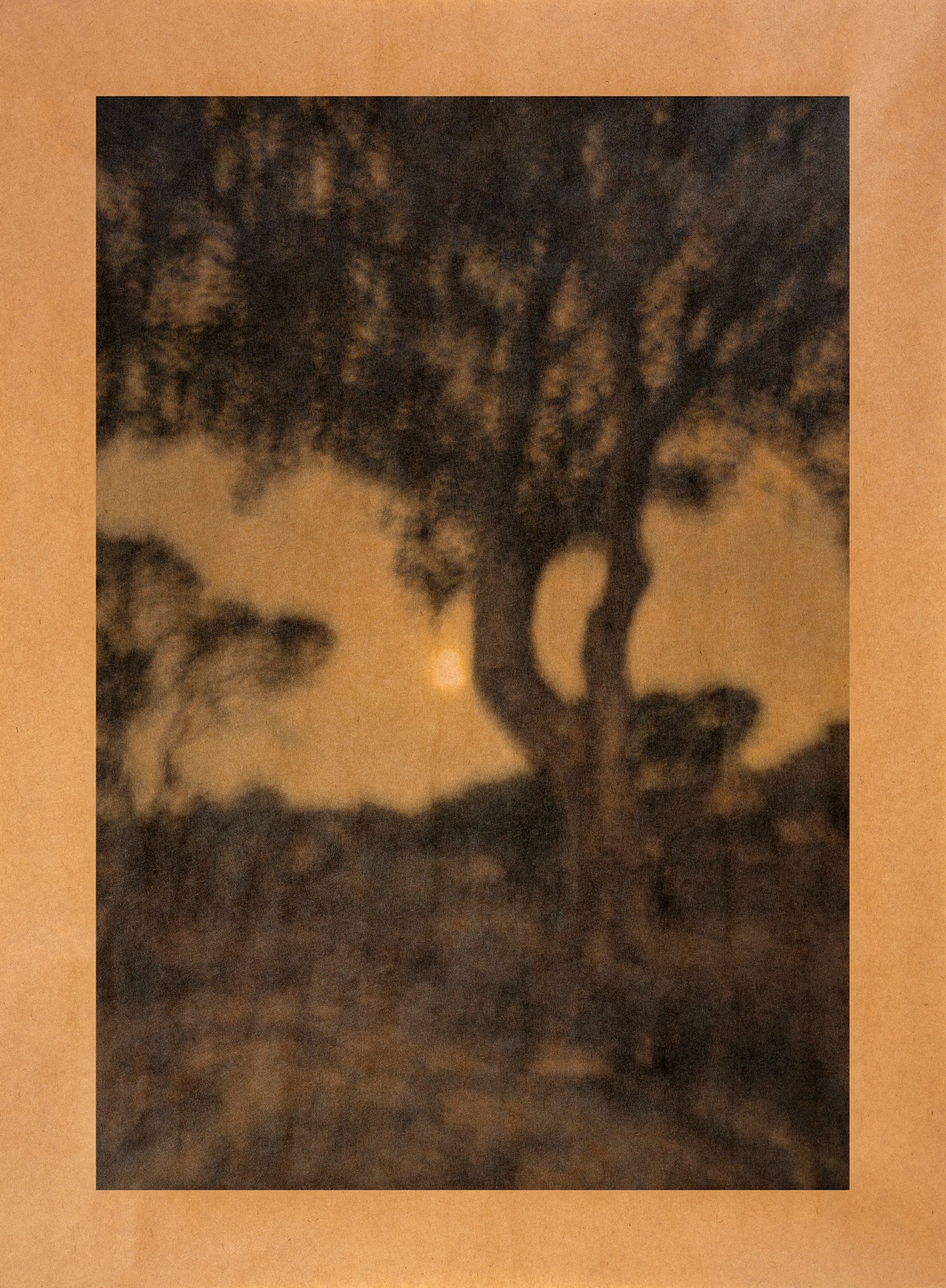 In the Light of Venus