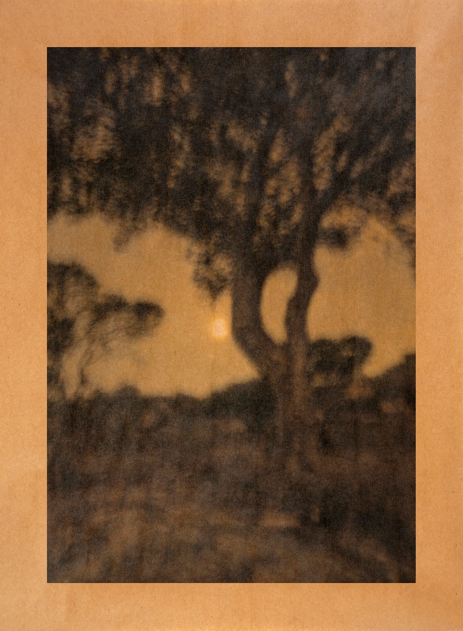In the Light of Venus photograph on archival Kraft paper