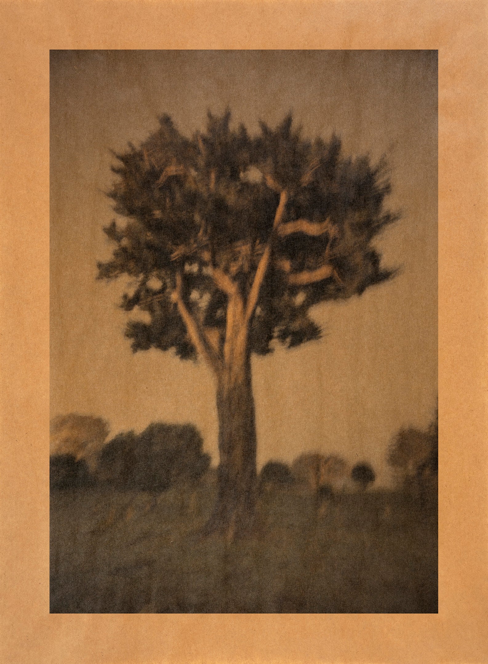 Song for the Dead photograph on archival Kraft paper