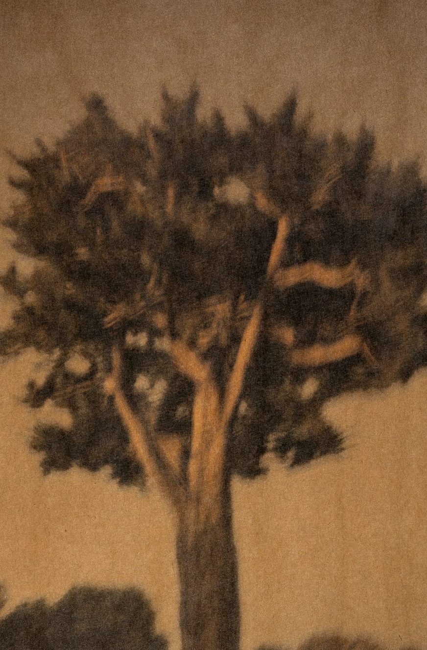 Song for the Dead close up