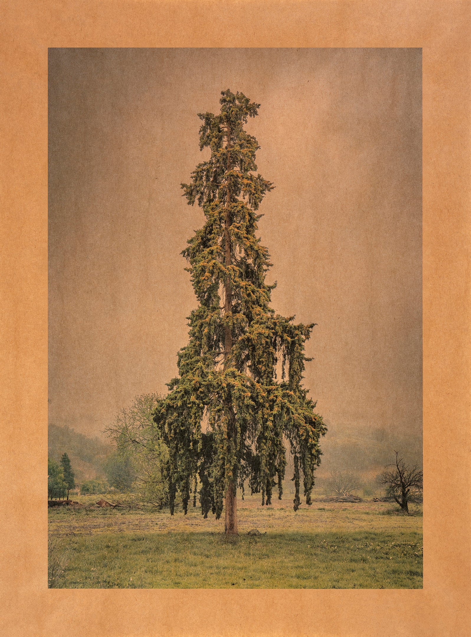Song for Socrates photograph on archival Kraft paper