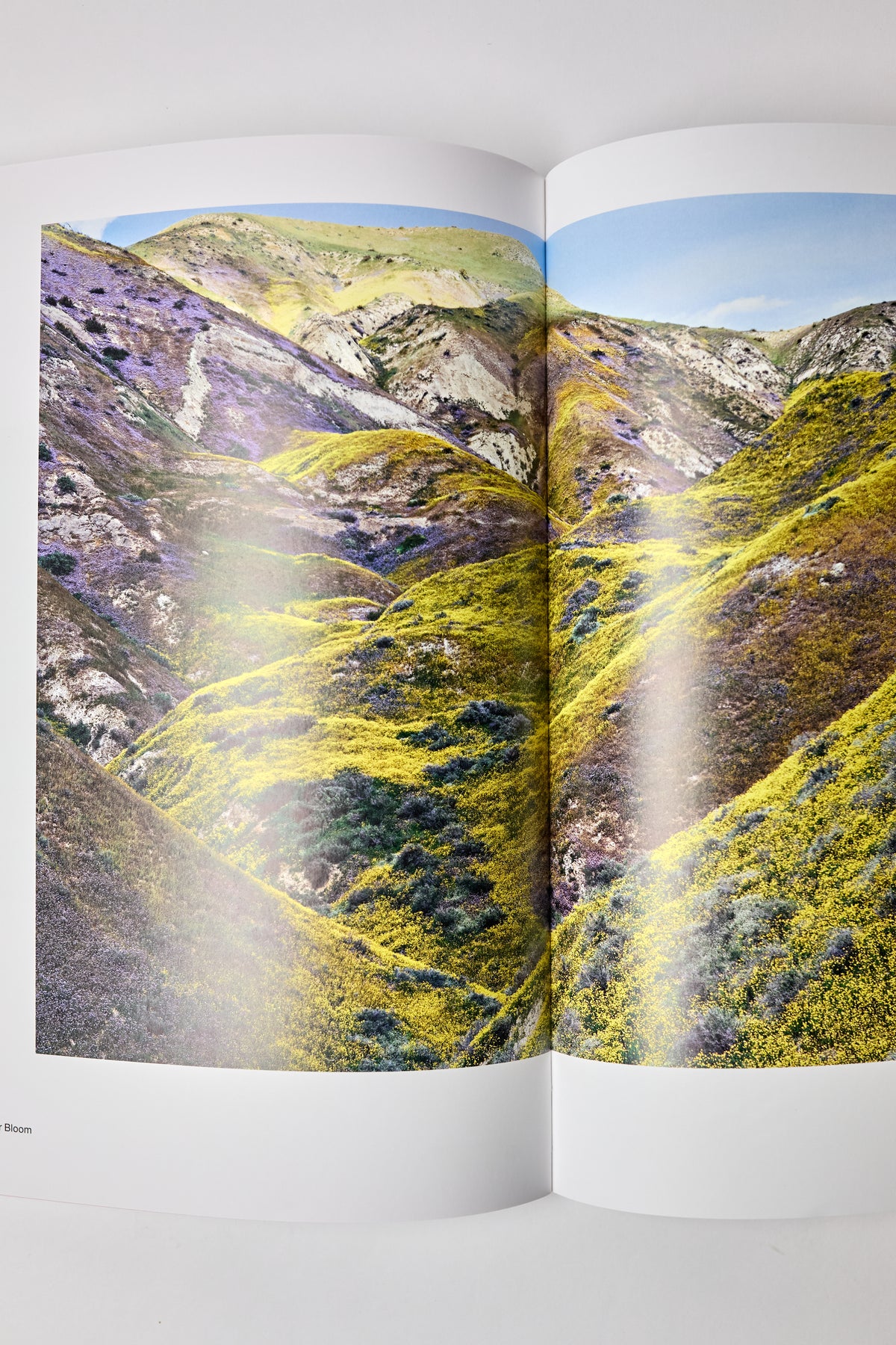 Lukas Felzmann: Across Ground