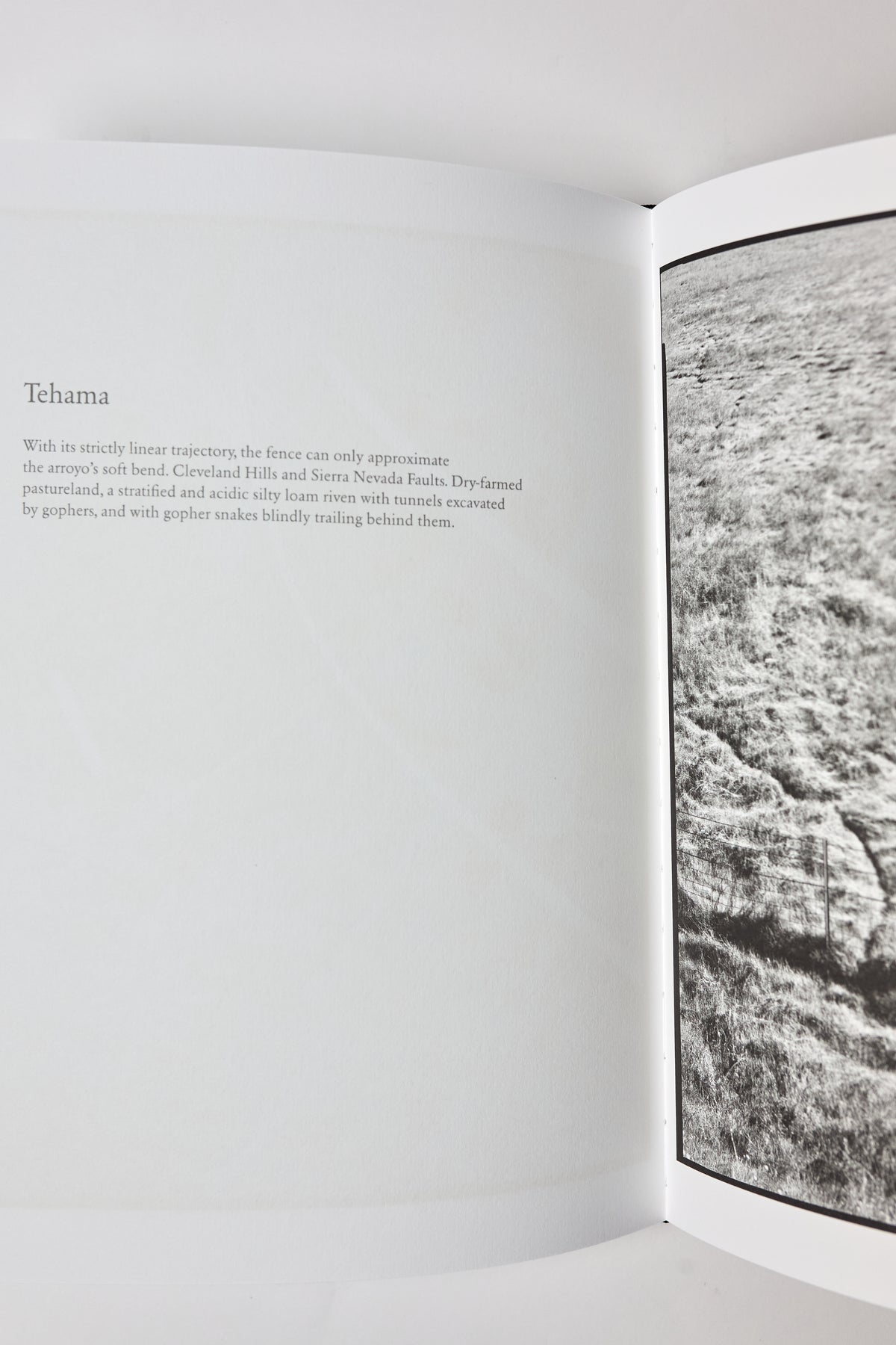 Lukas Felzmann: Across Ground