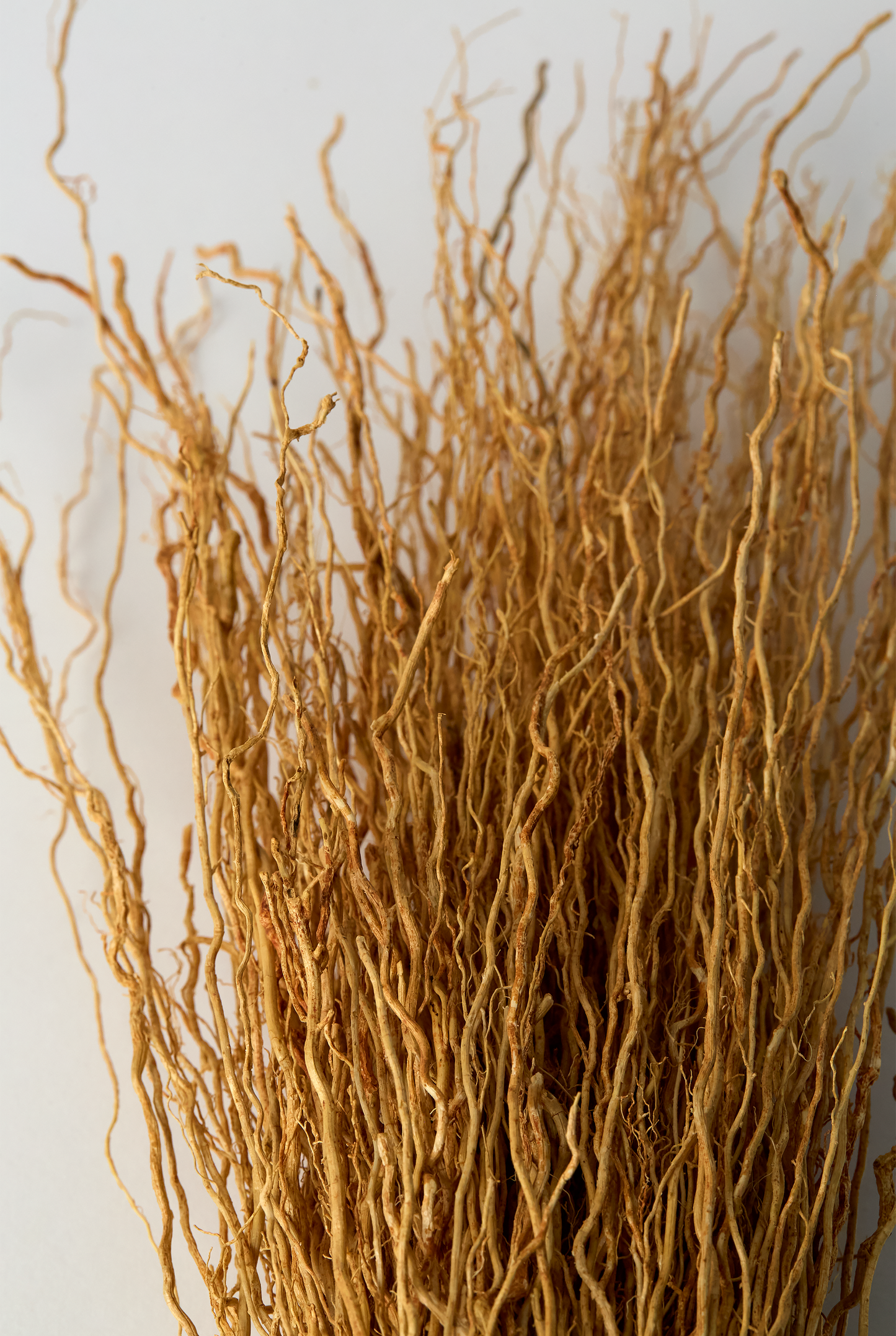 Vetiver Broom