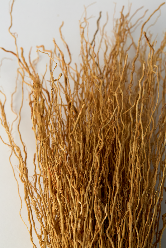 Vetiver Broom