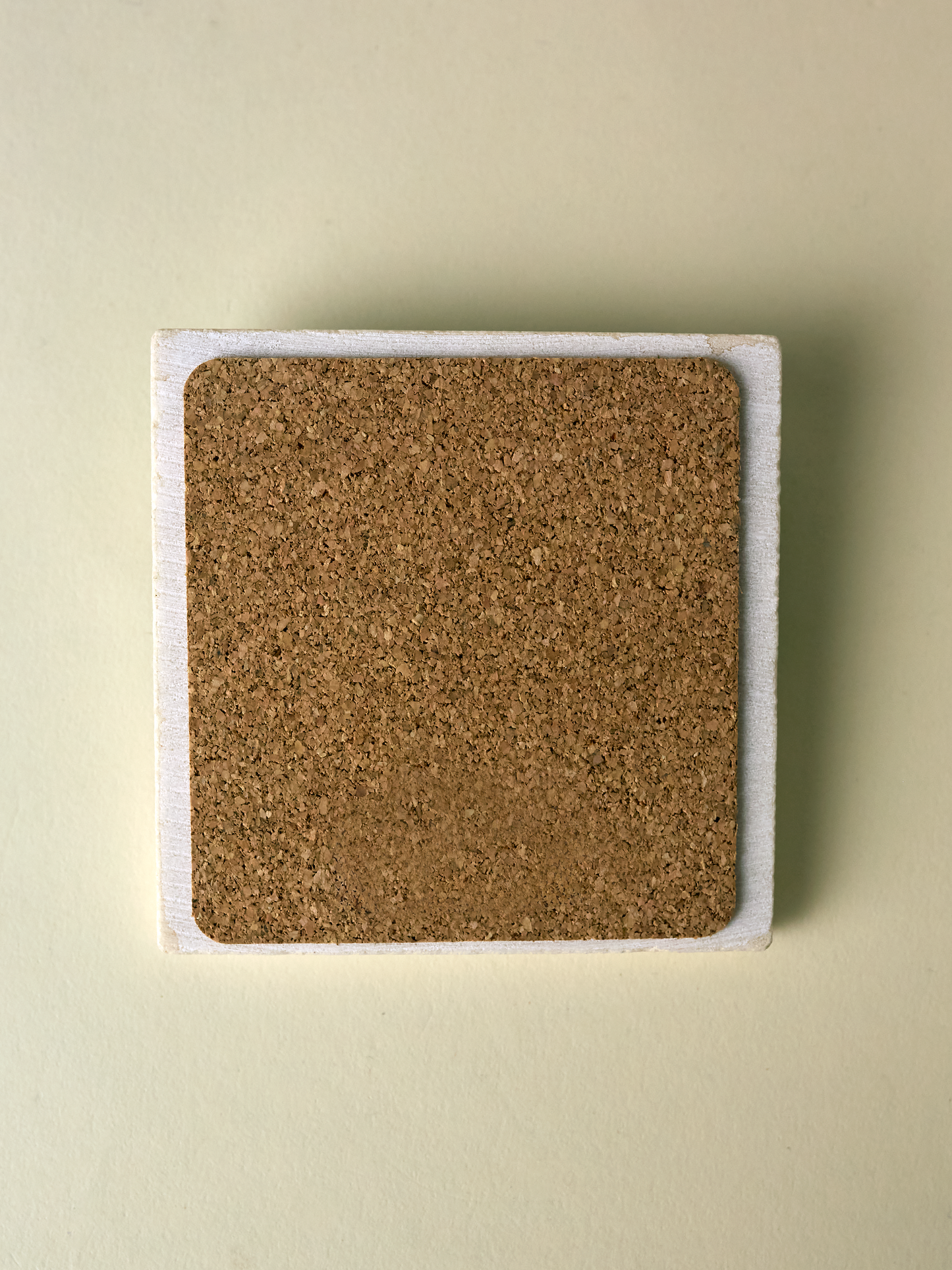 Red-tailed Hawk Coaster (Copy)