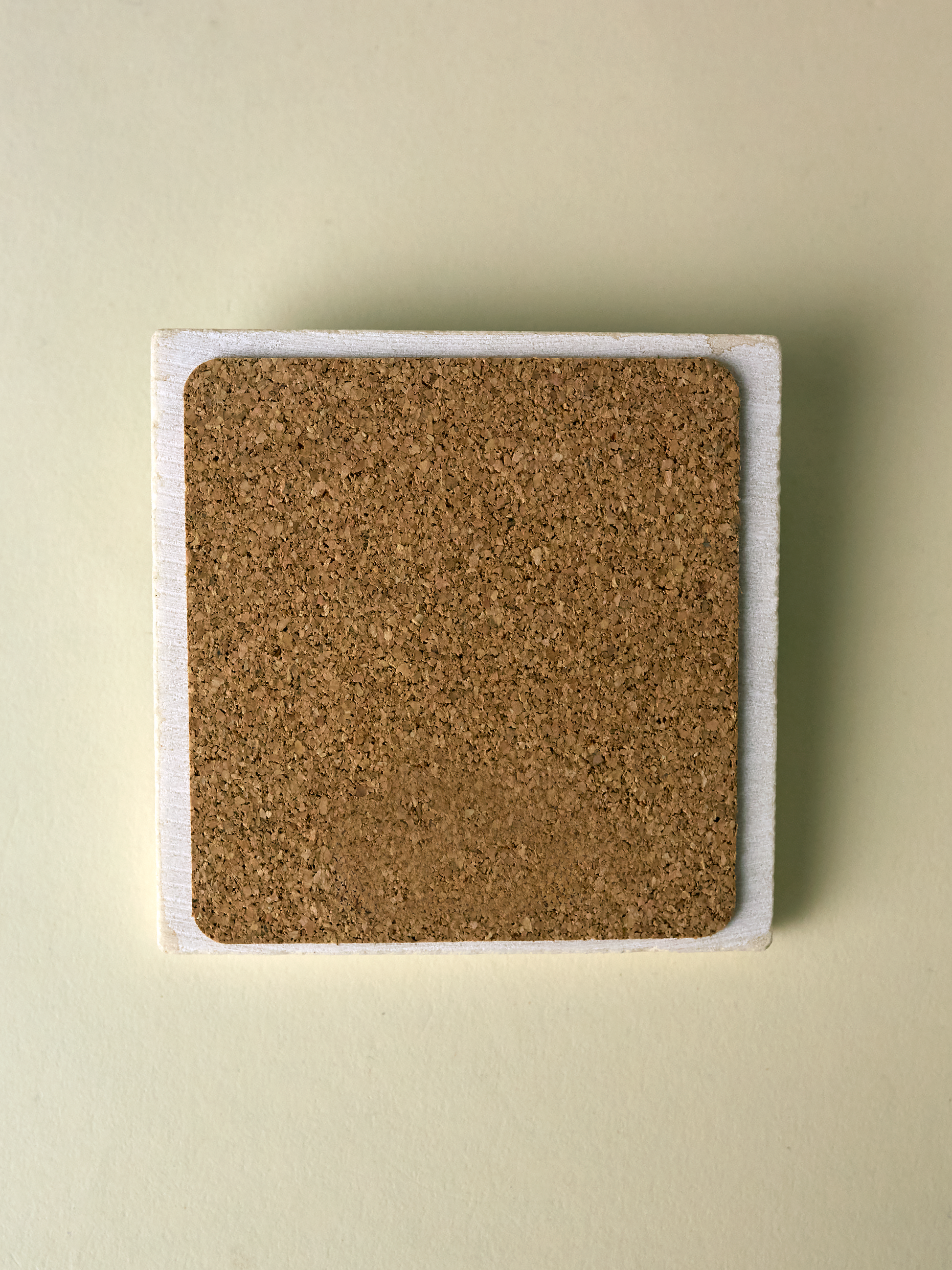 Red-tailed Hawk Coaster (Copy)