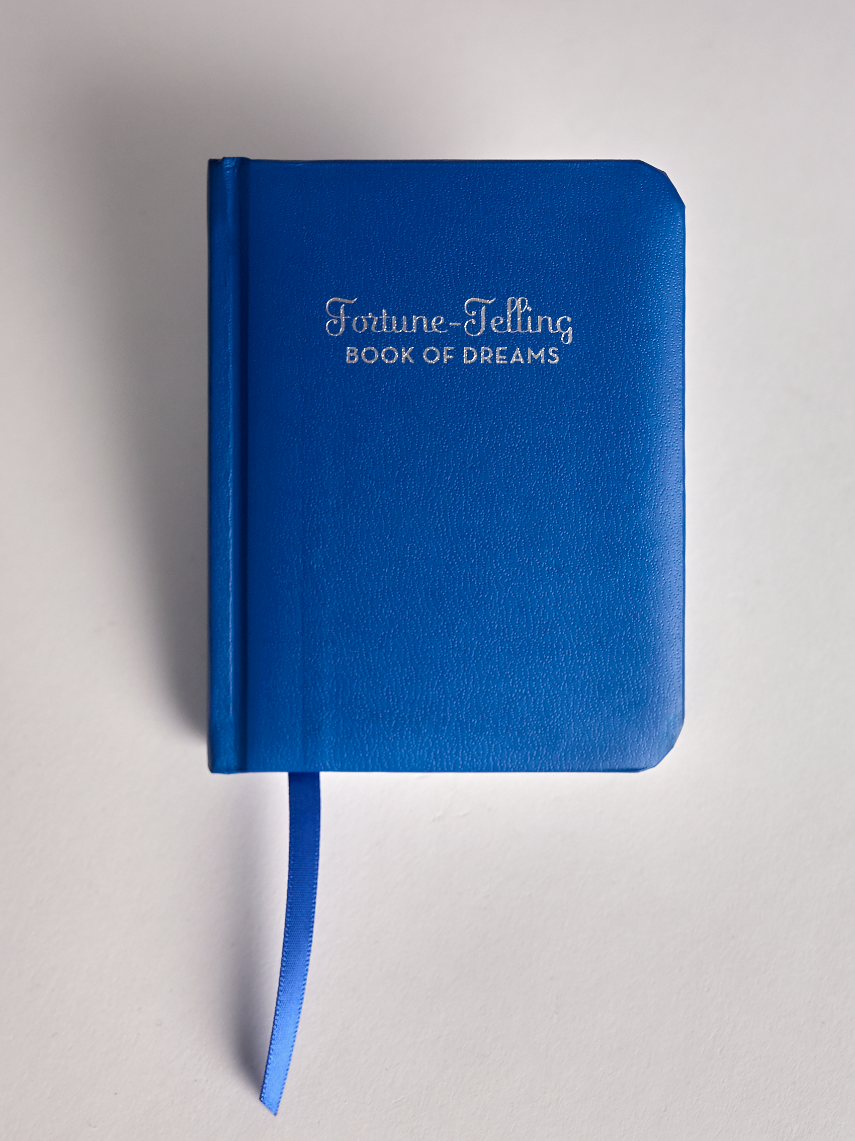 Blue notebook with 'Fortune-Telling Book of Dreams' text on a light gray background
