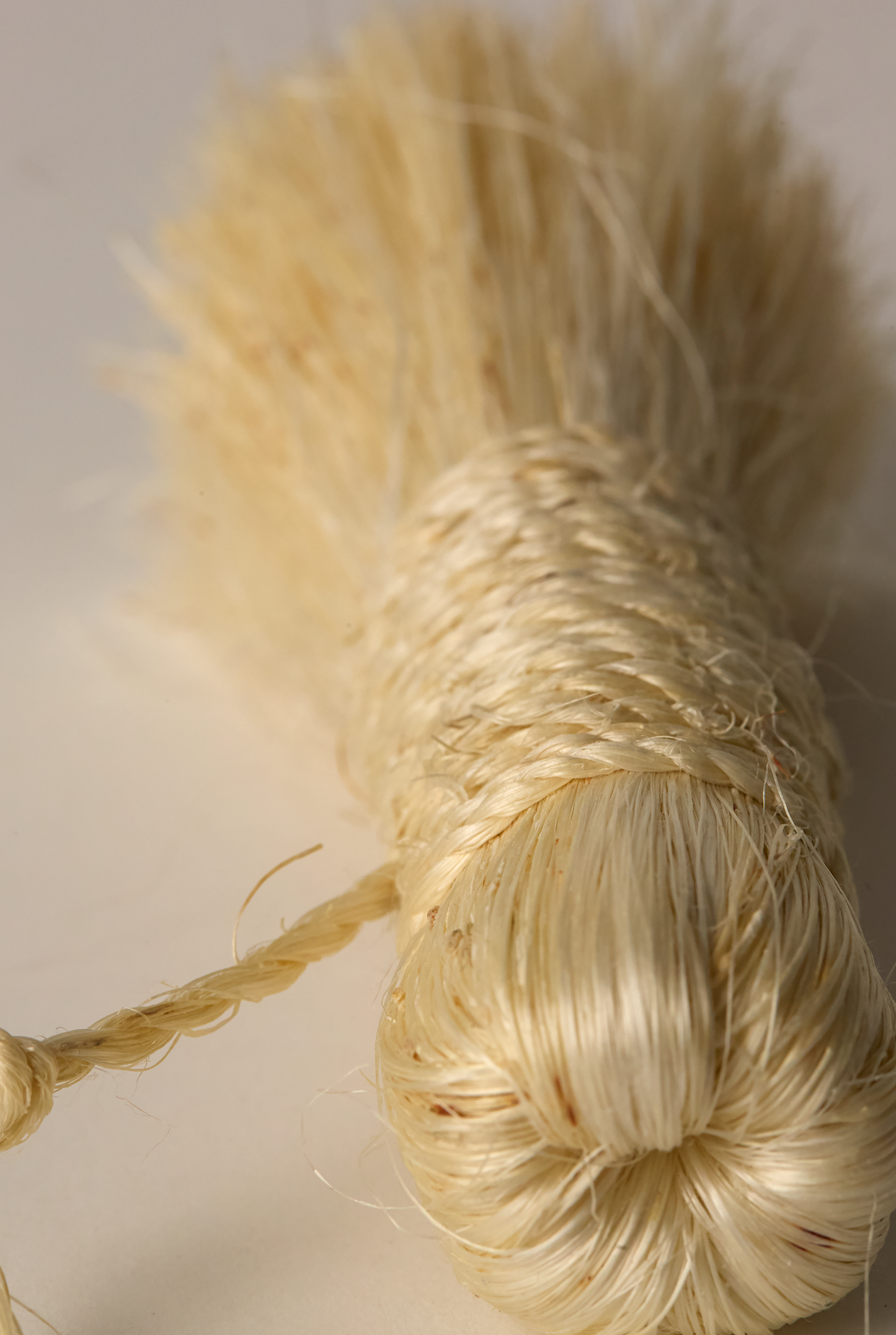 Close Up Handmade brush made from Tampico fiber plain background