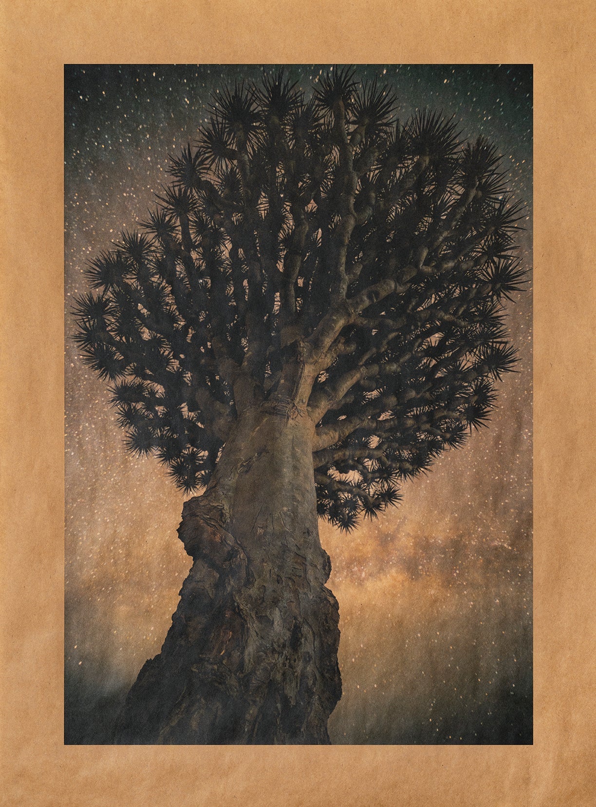 Song of Laden