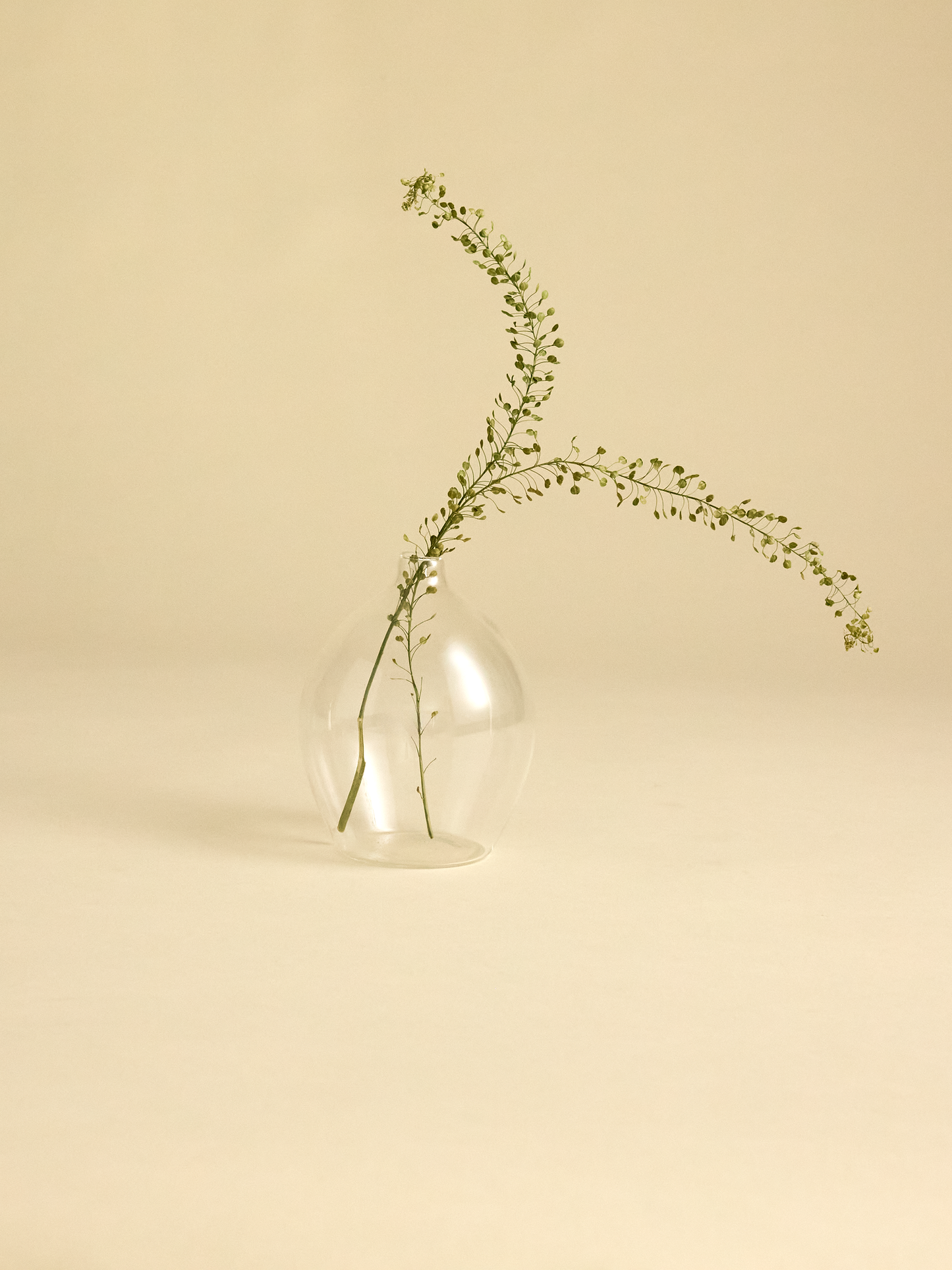 Glass Vase - Round