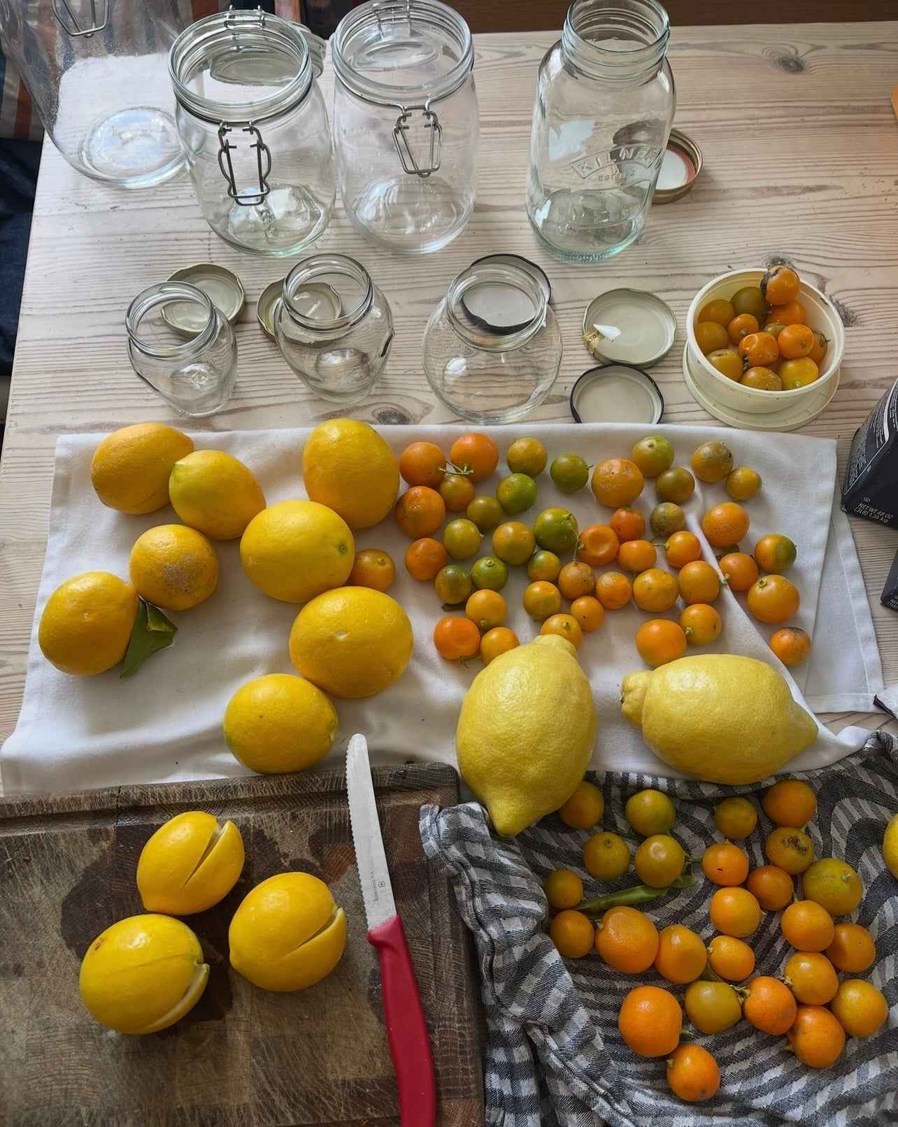 Artisanal Preserved Lemons Workshop
