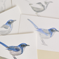 Capturing Nature in Watercolor