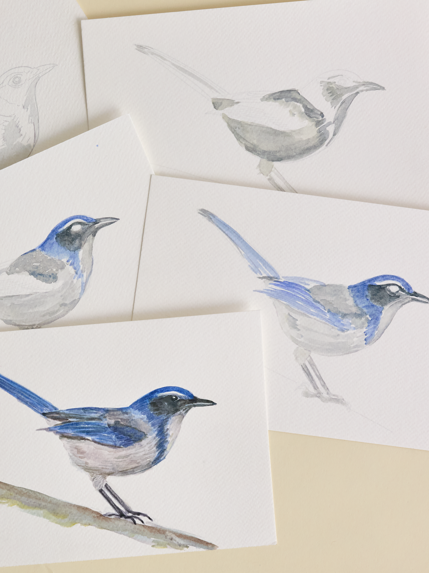 Capturing Nature in Watercolor