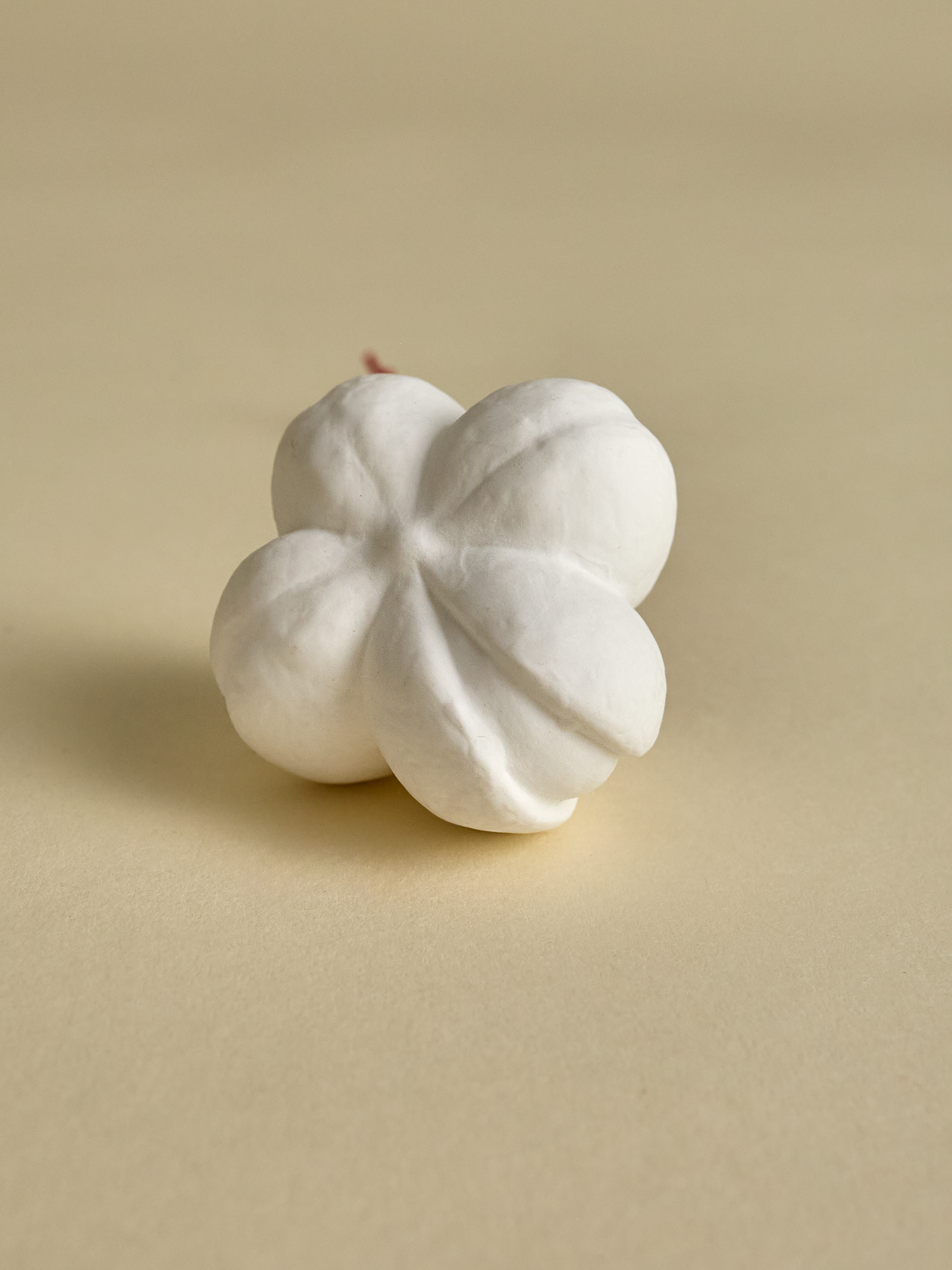 Porcelain Pod Ornament