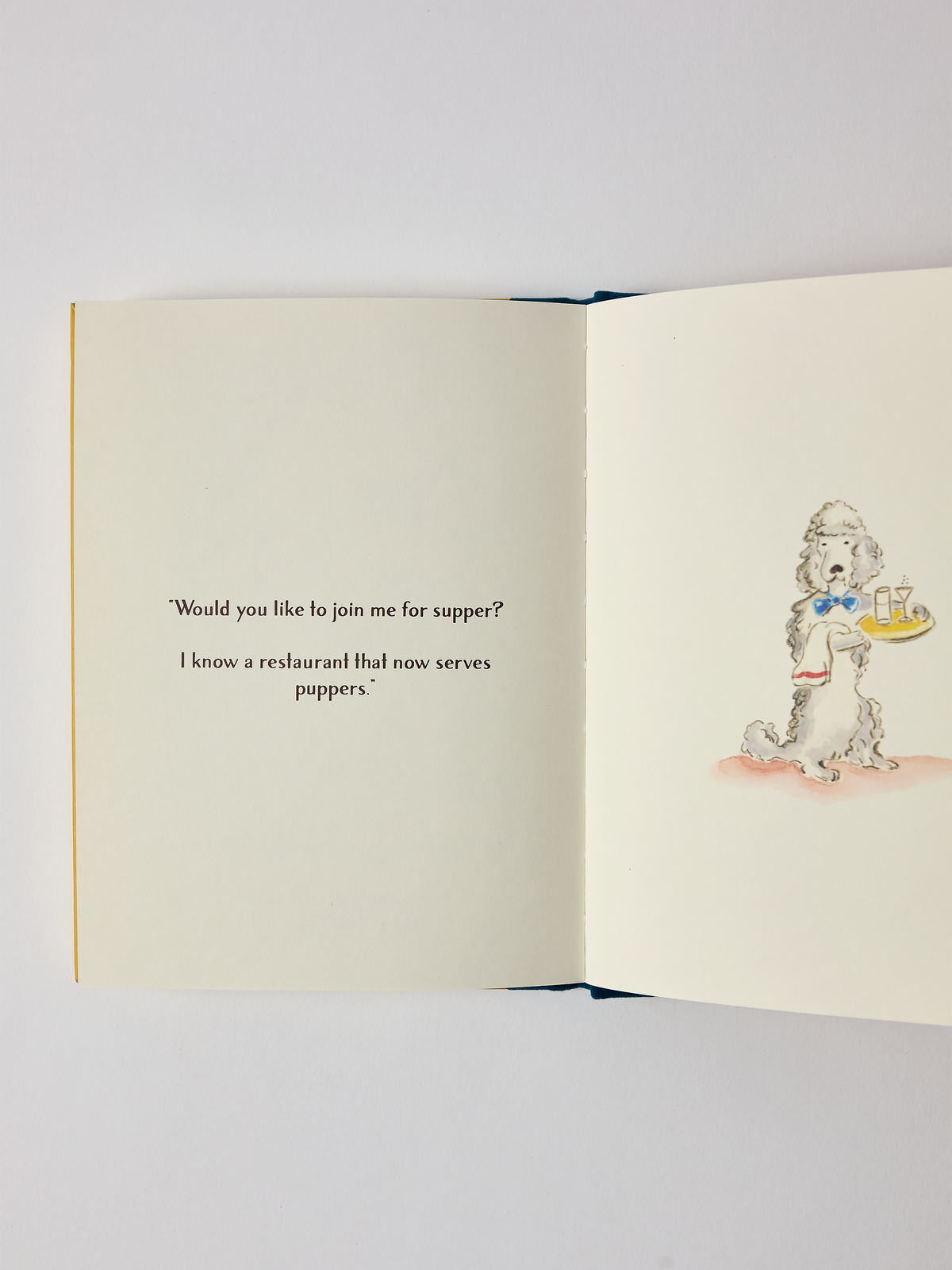 Book titled 'A Small Dog Story'  with a cartoon dog and text on a white background