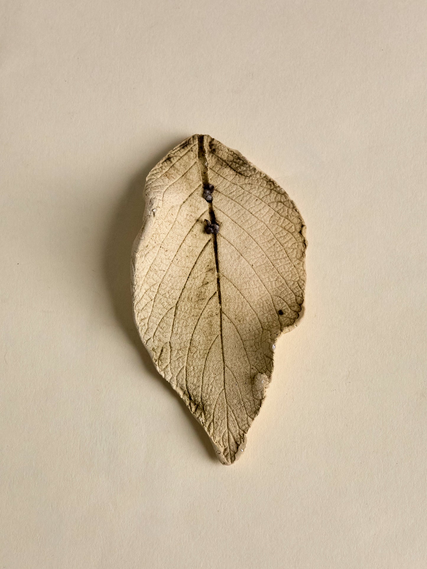 Handmade Ceramic Leaf