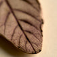 Handmade Ceramic Leaf