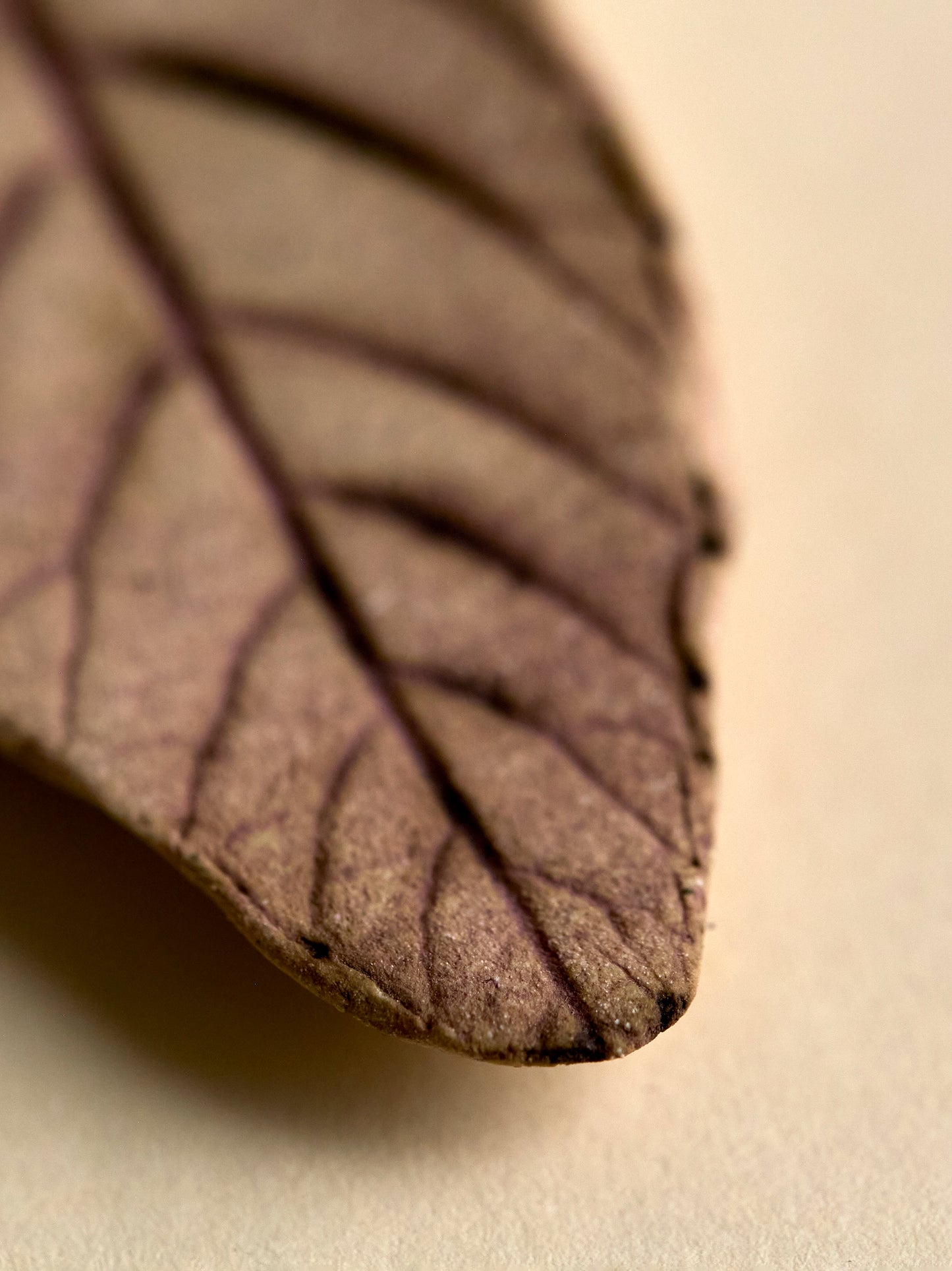 Handmade Ceramic Leaf