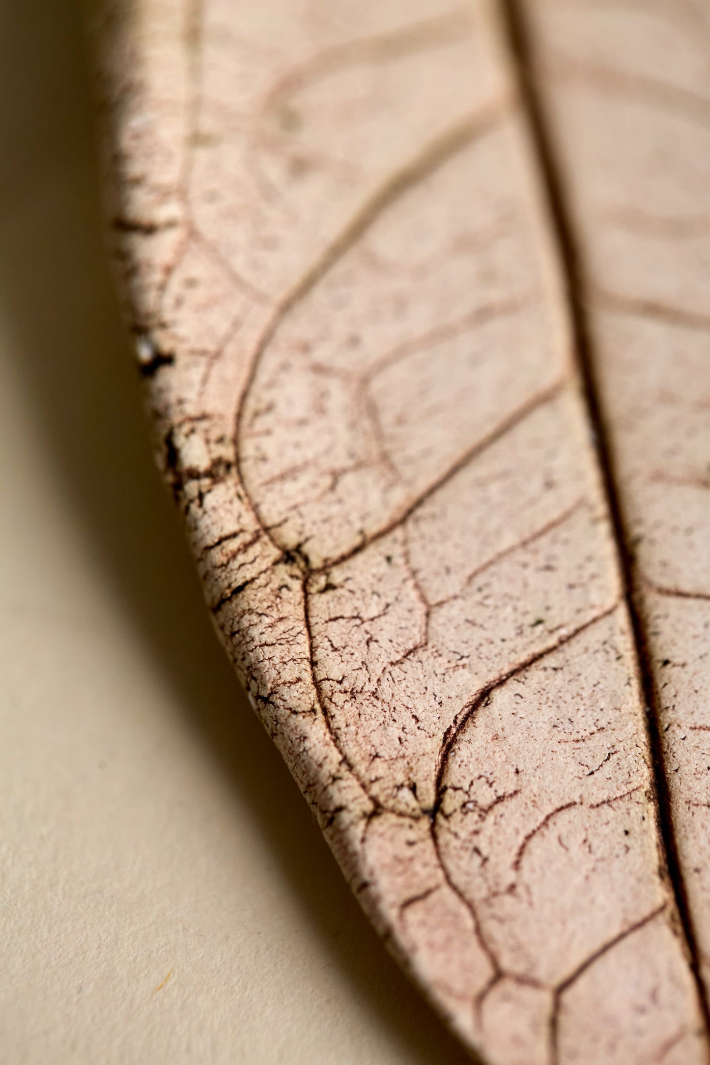 Handmade Ceramic Leaf