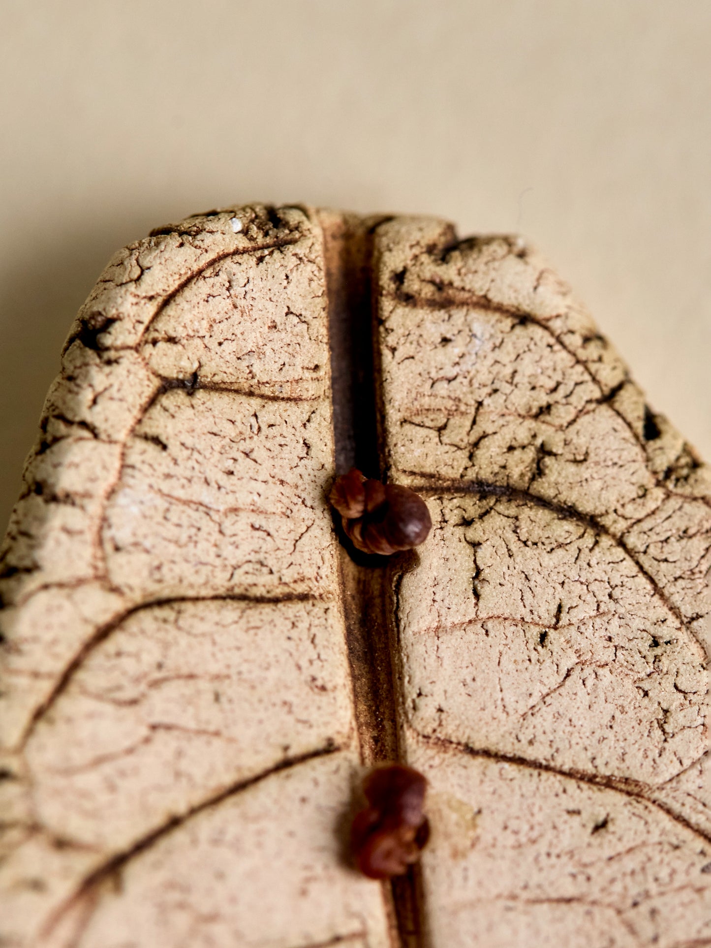 Handmade Ceramic Leaf