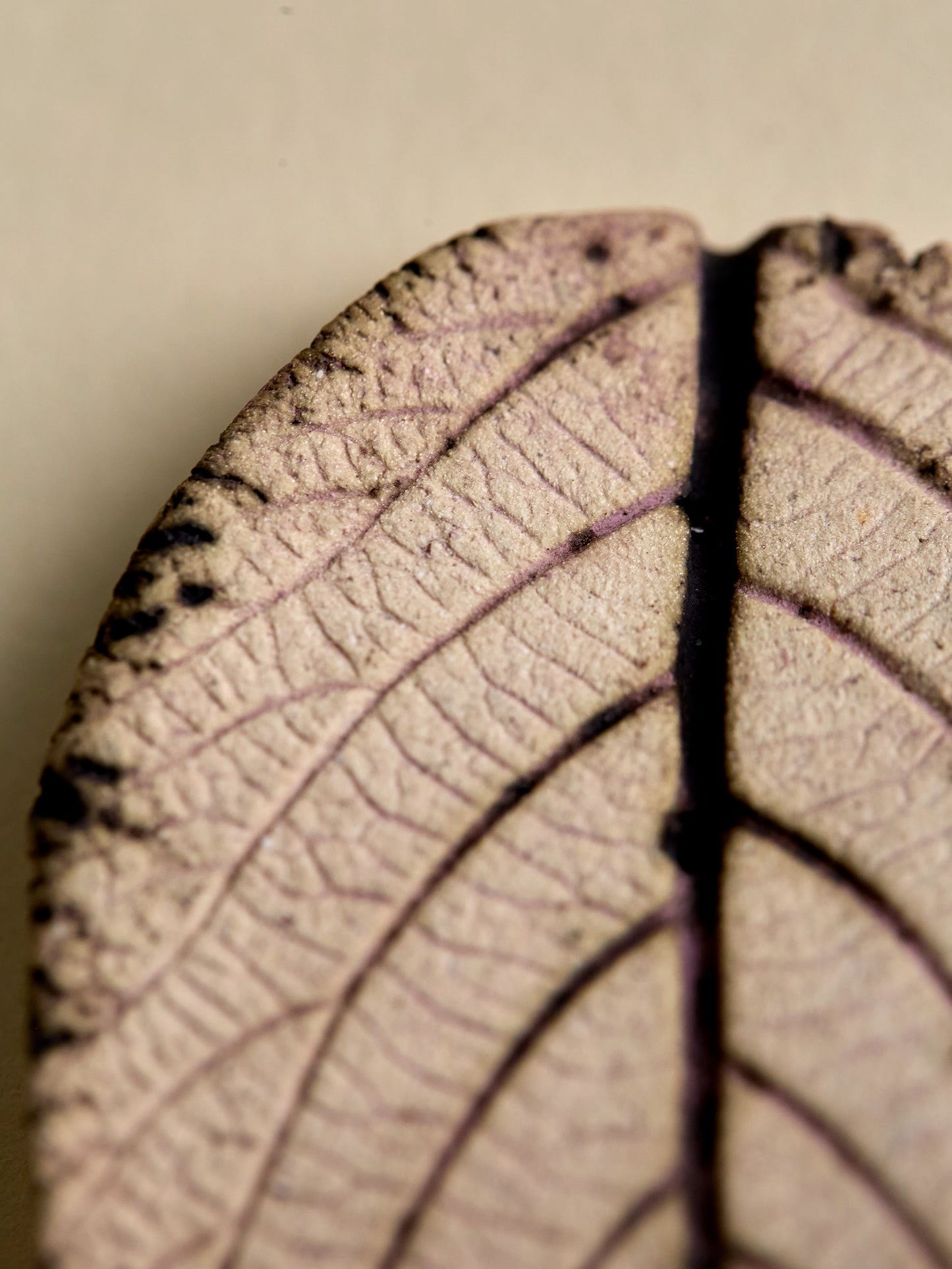 Handmade Ceramic Leaf