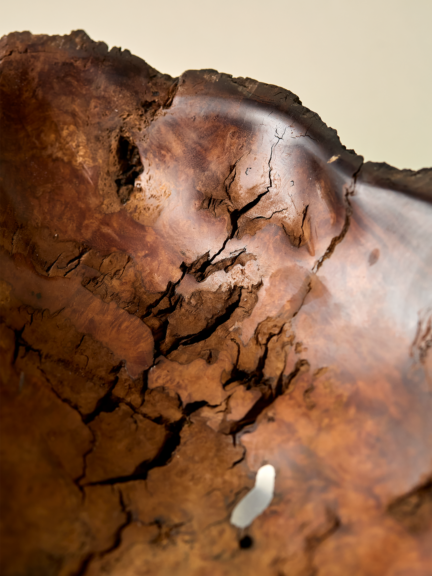 Gabaldón Burl Alloy Bowl Large