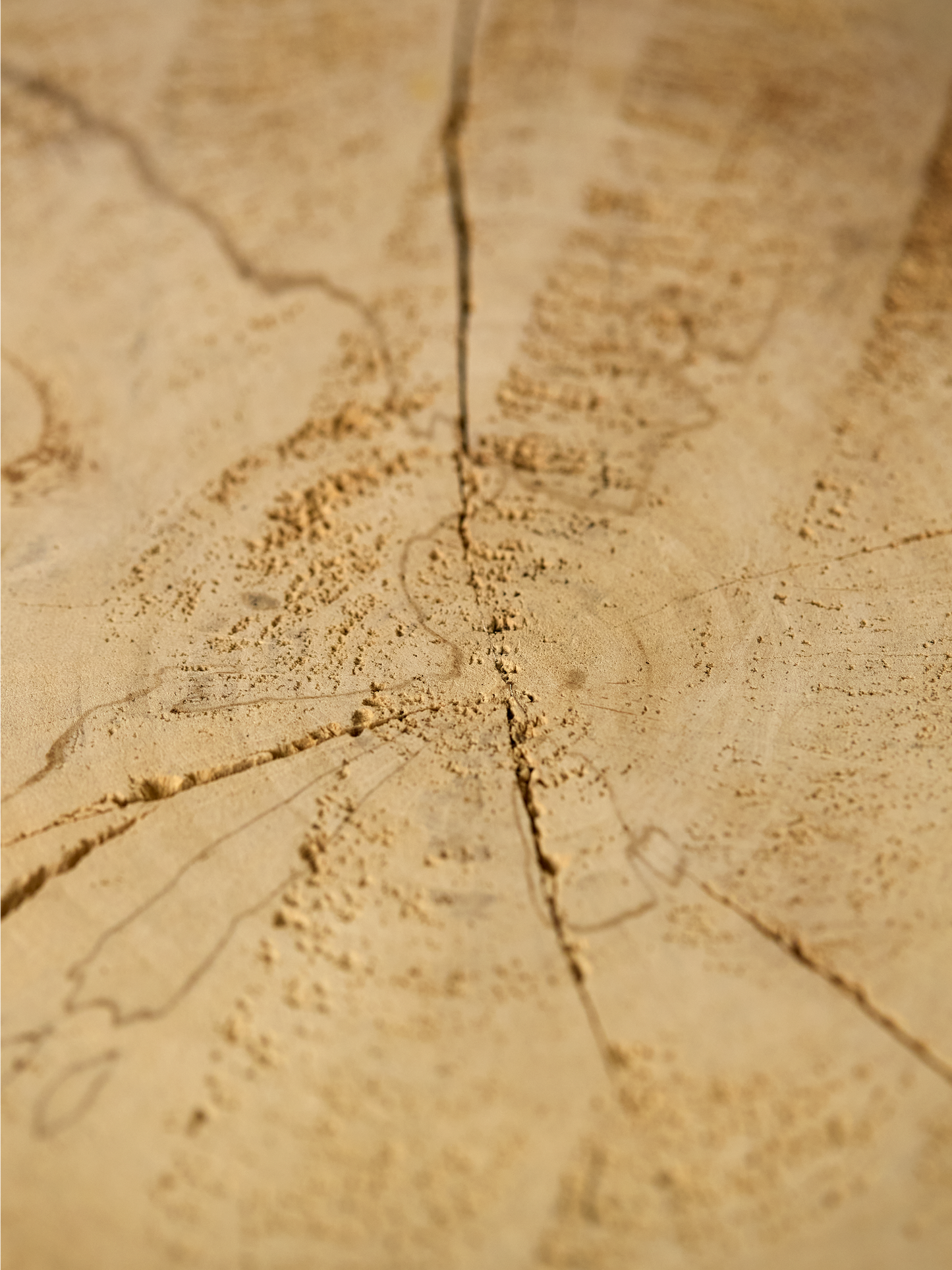 Driftwood Stool, Sm