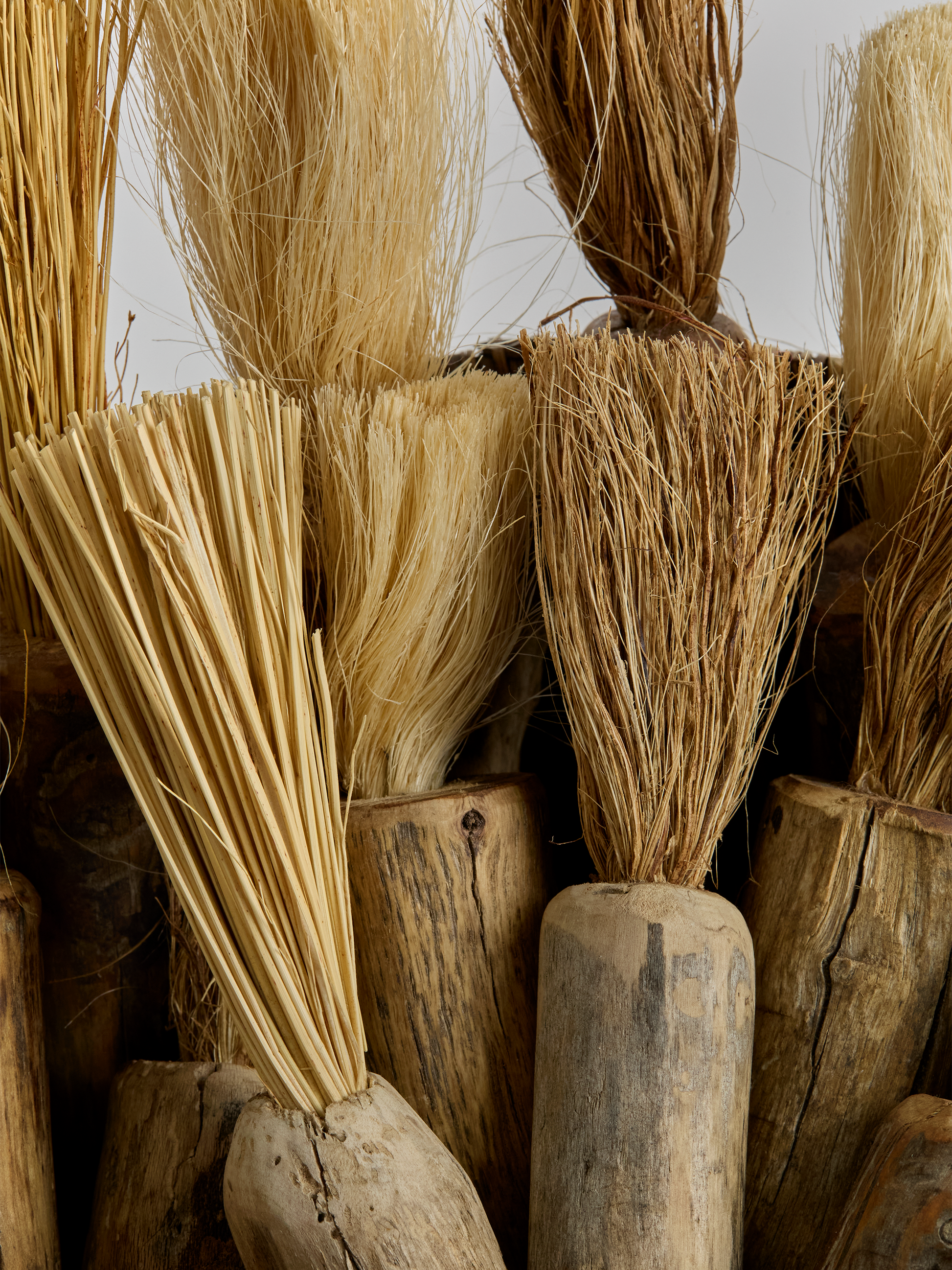 Close-up of brushes with wooden handles against a neutral background