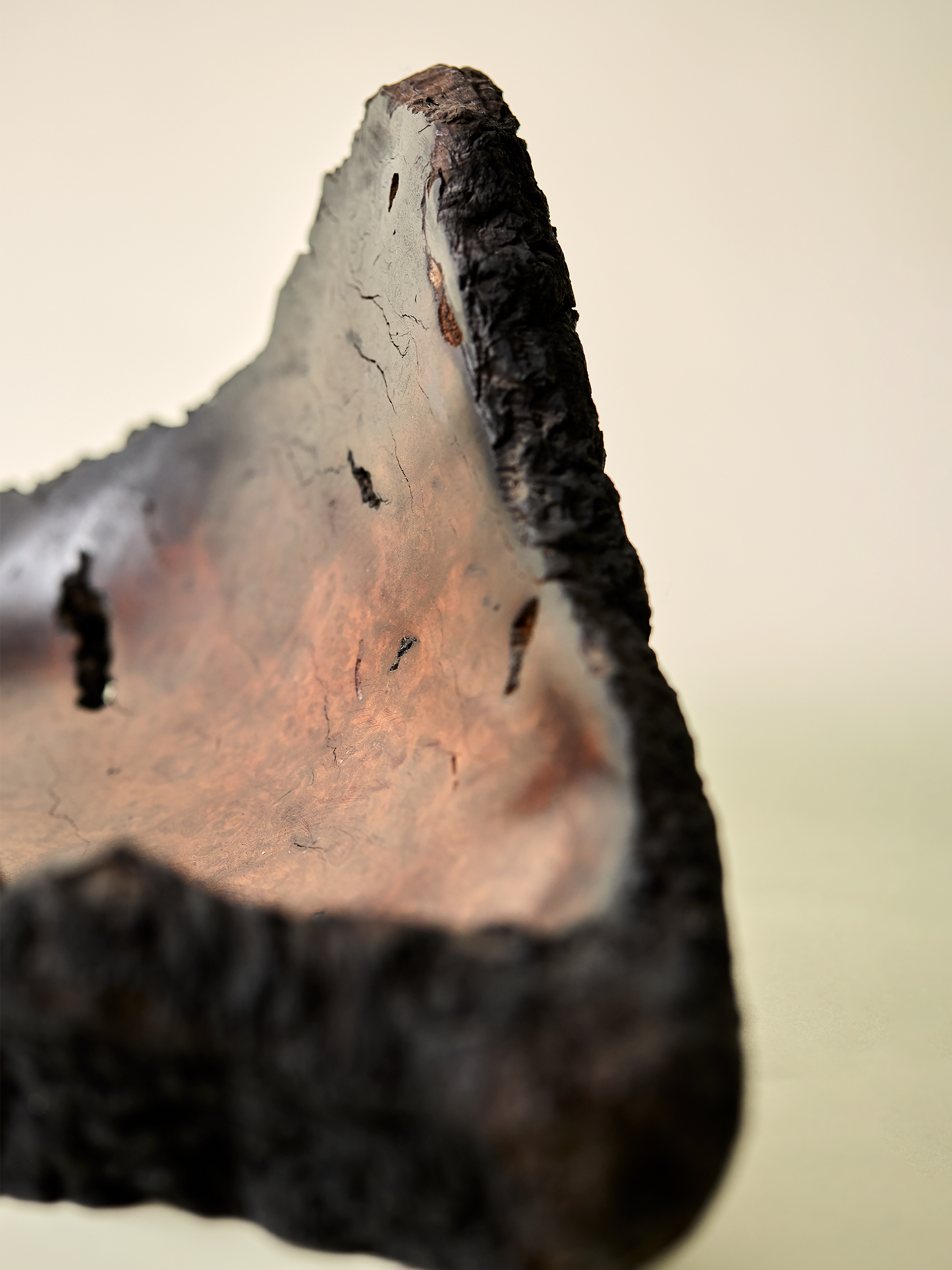 Gabaldón Burl Bowl