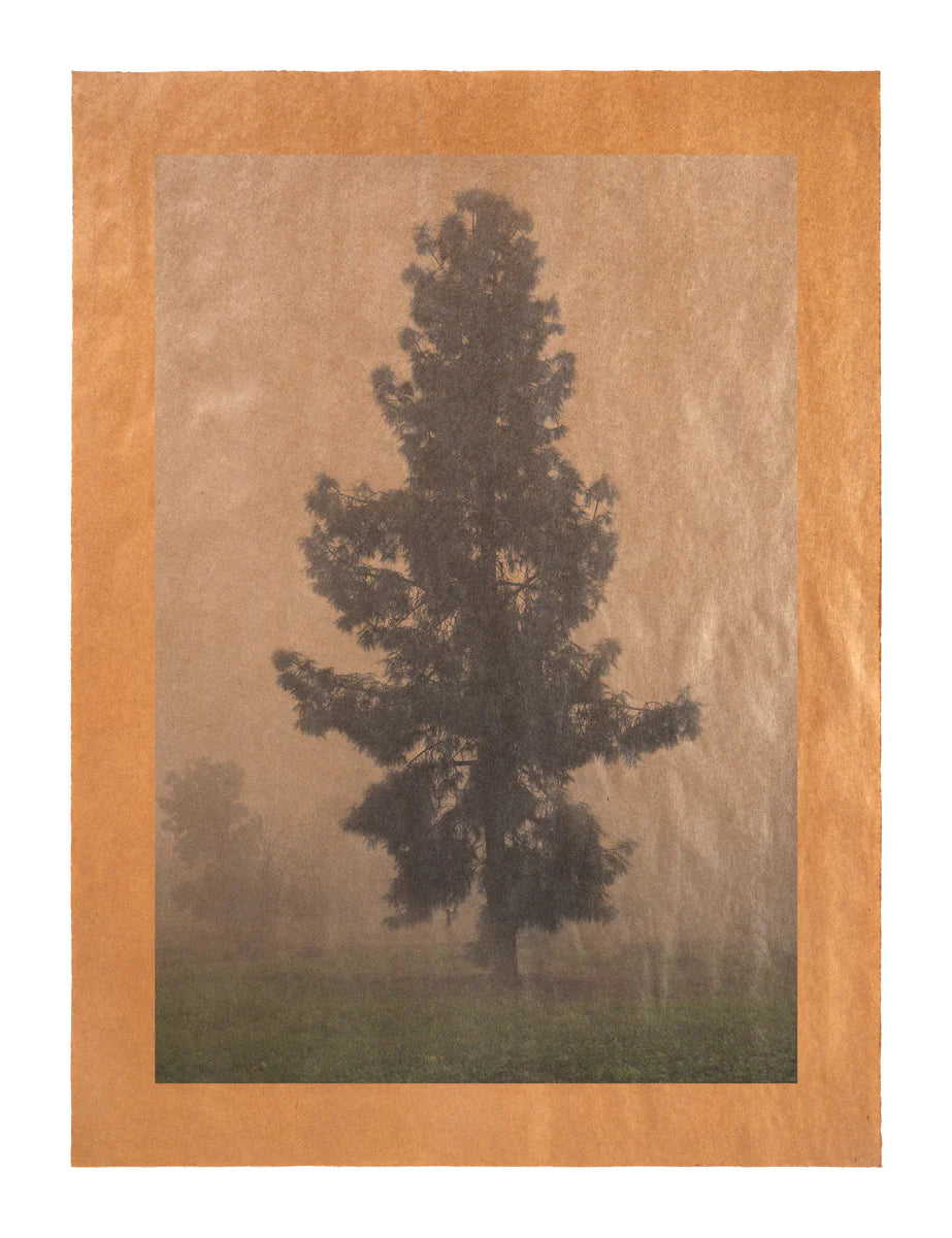 Revelation II photograph, archival ink on paper