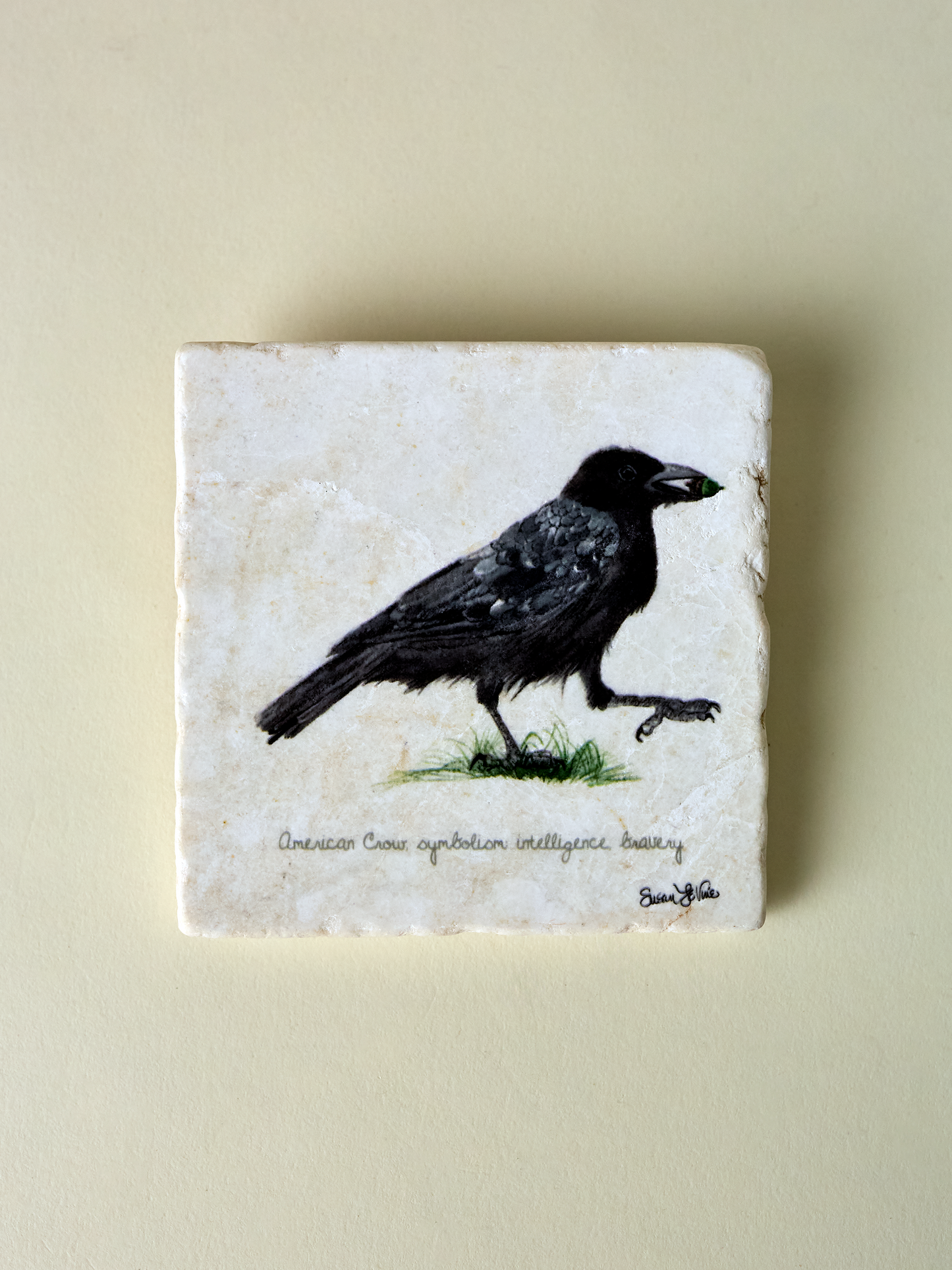 American Crow Coaster