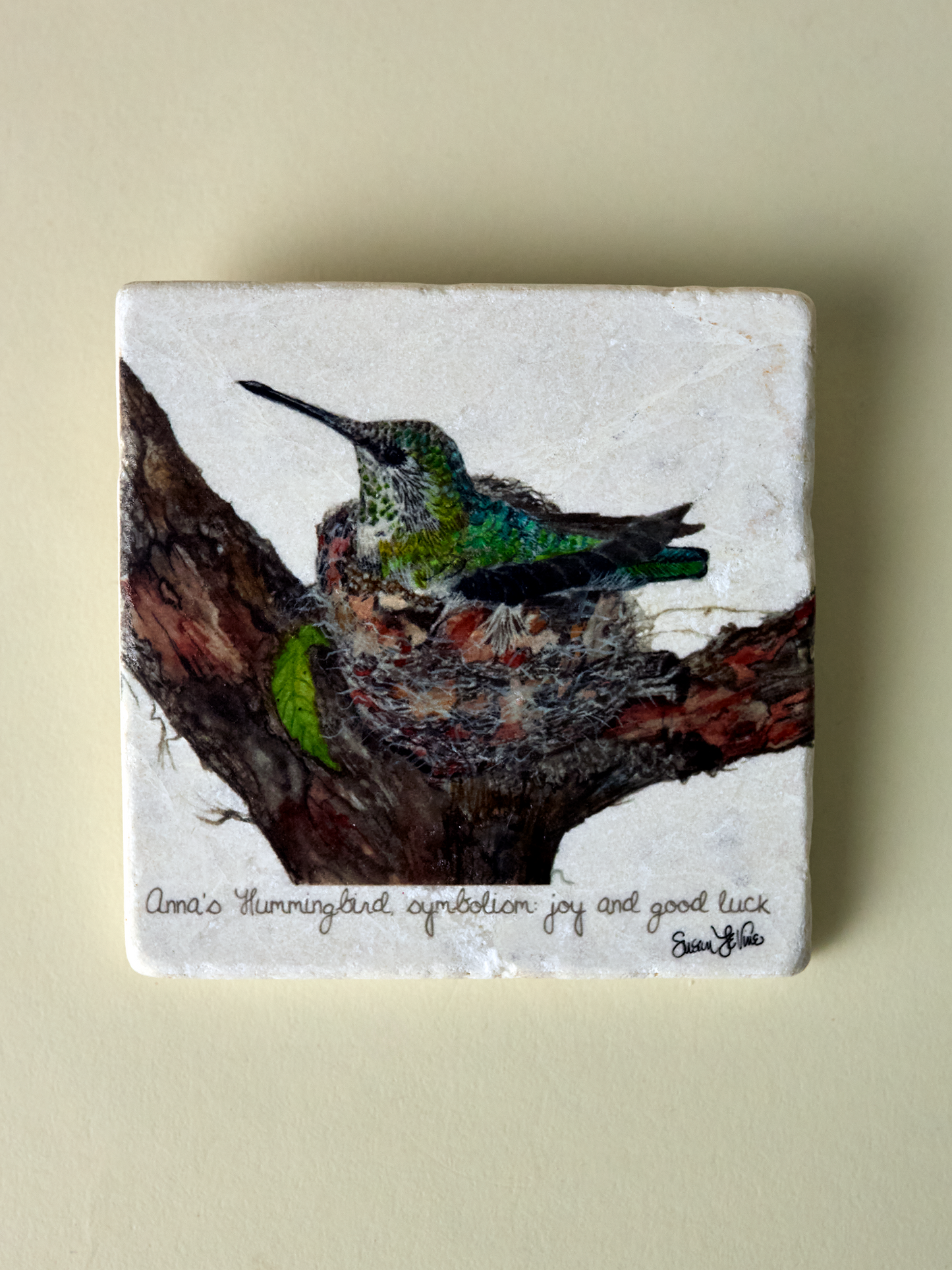 Anna's Hummingbird Coaster