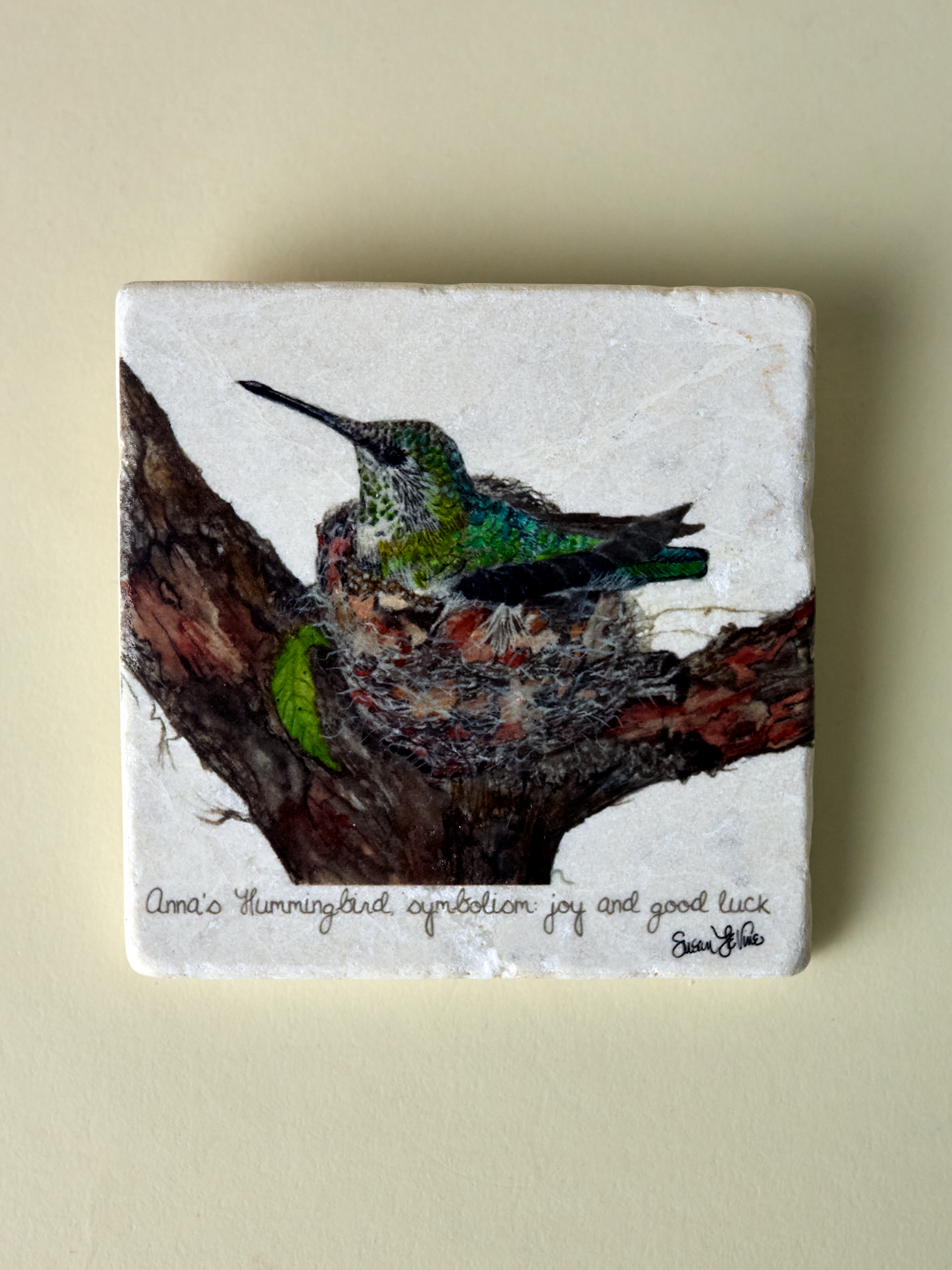 Anna's Hummingbird Coaster