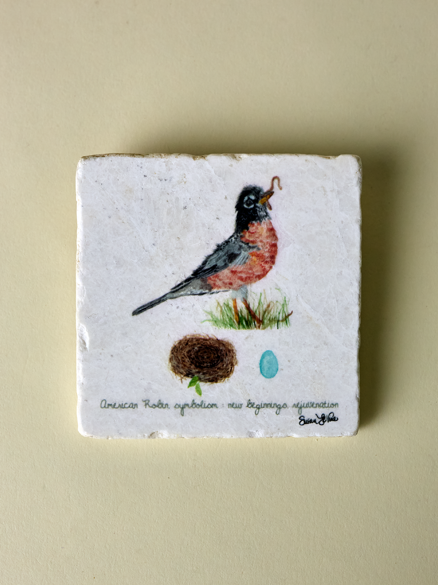 American Robin Coaster