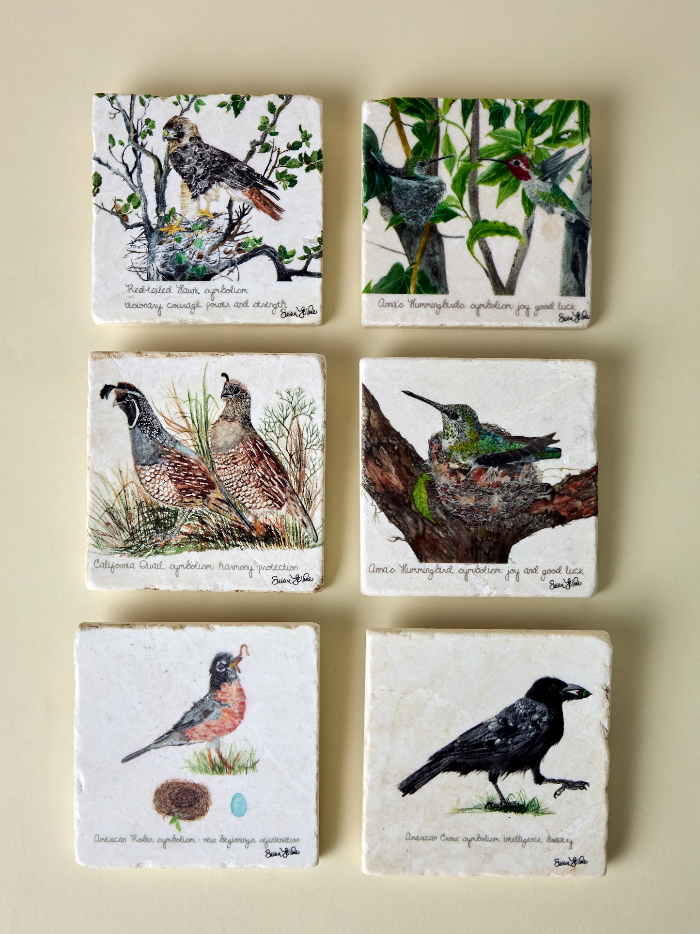 Red-tailed Hawk Coaster (Copy)