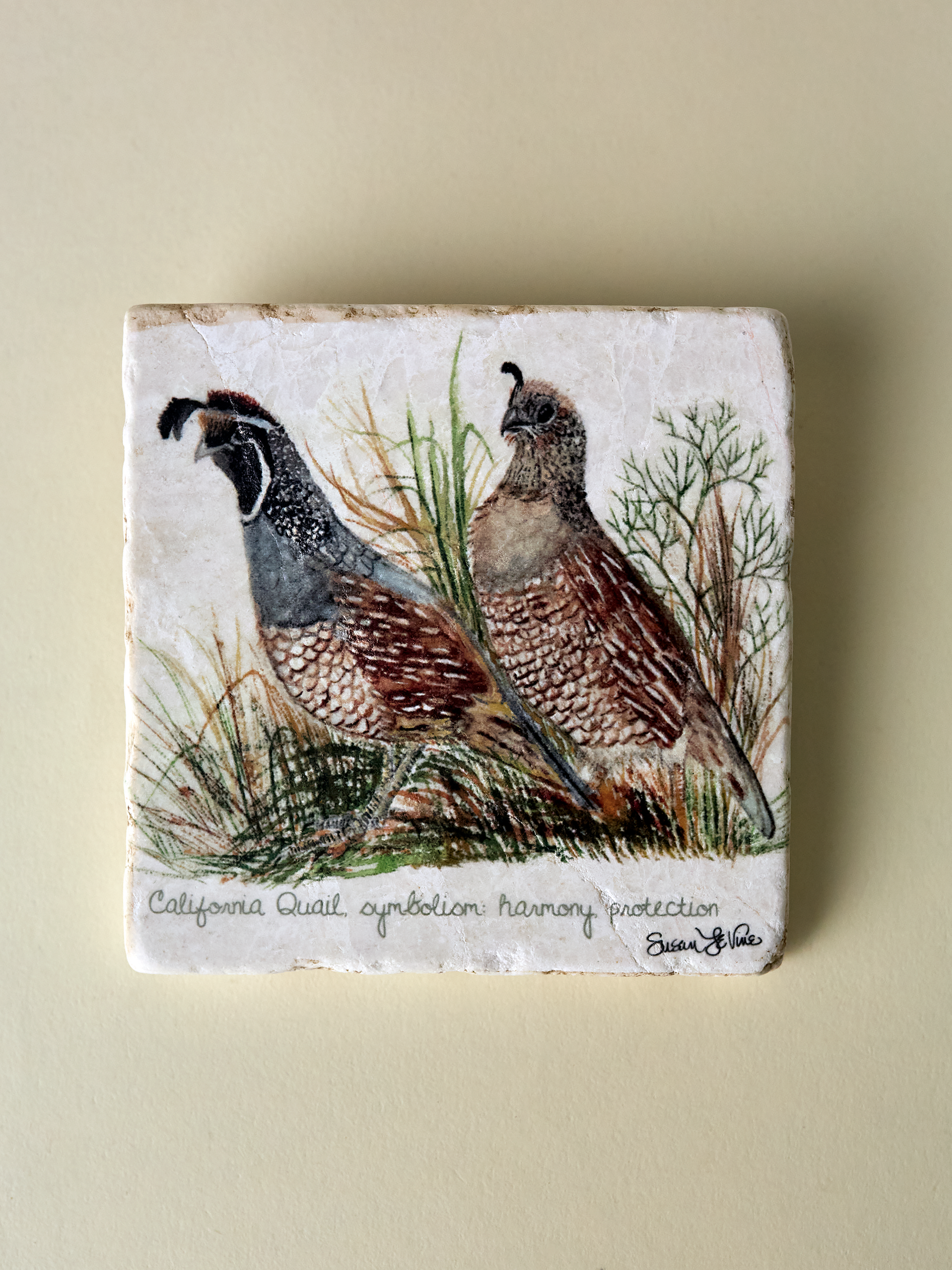 California Quail Coaster